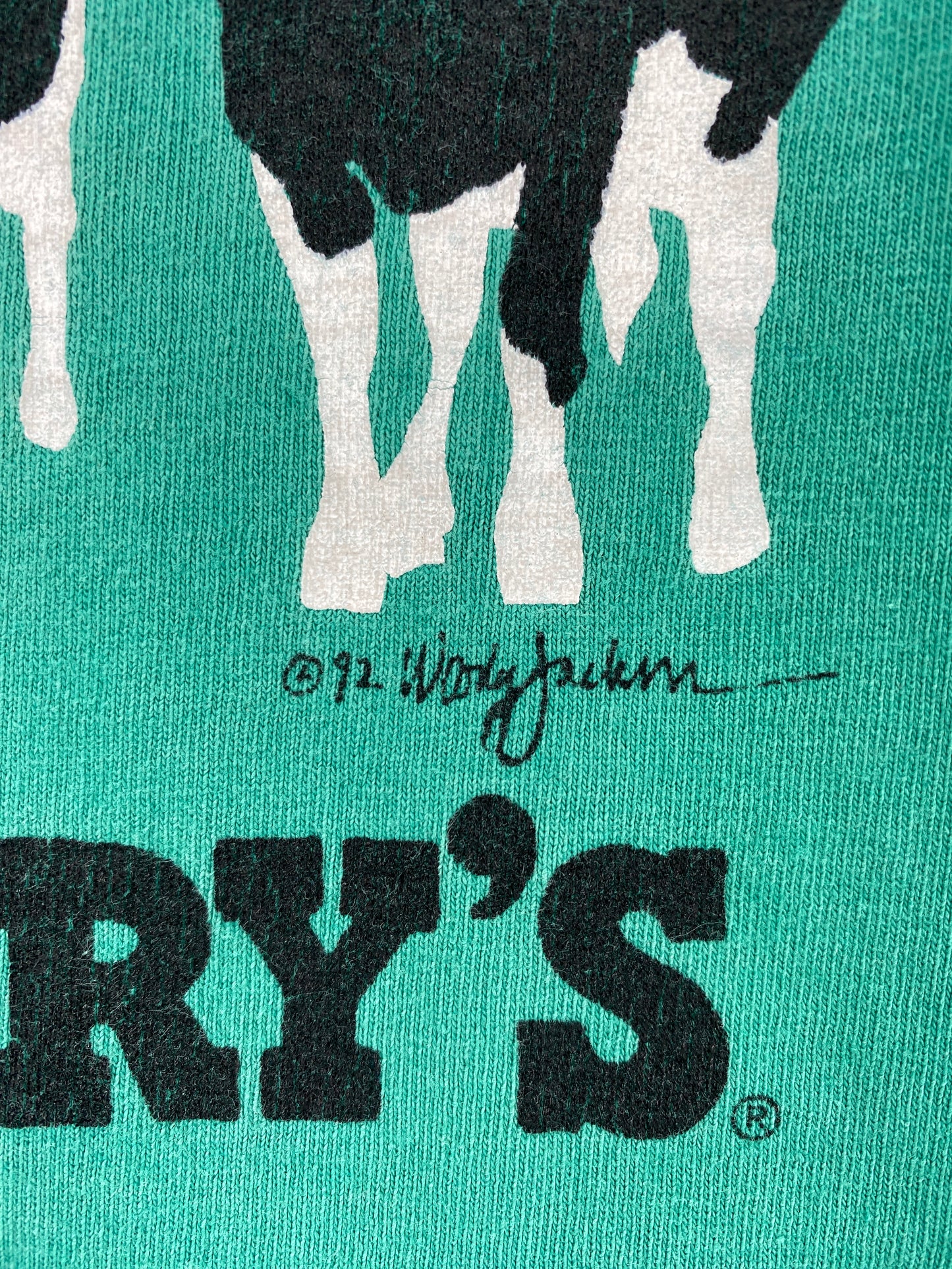 1992 BEN & JERRY'S Made in USA Size XL Vintage T-Shirt / F9369T