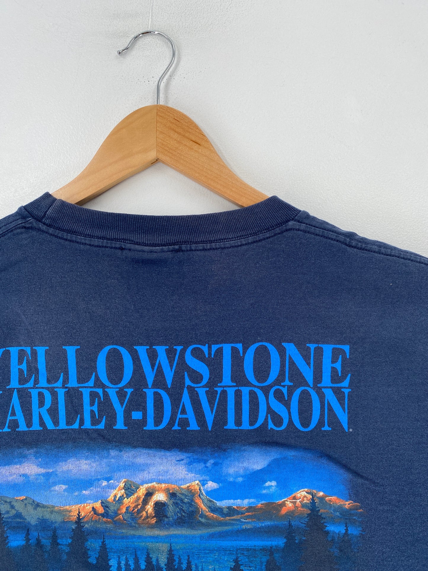 2000 HARLEY DAVIDSON Size XL Vintage T-Shirt / F3181T
