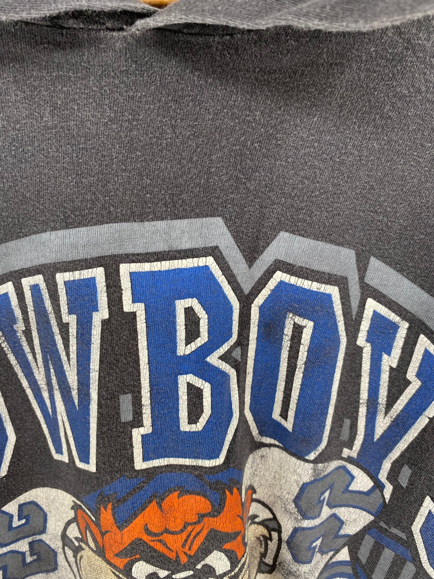 90’s LOONEY TUNES TAZ x DALAS COWBOYS Made in USA Size XL  Long Sleeve Hoodie T-Shirts / F4912T