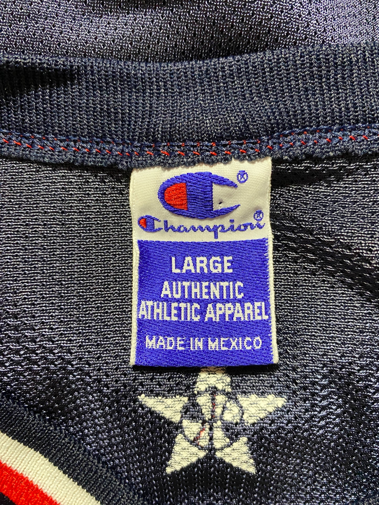 Vintage CHAMPION x USA BASKETBALL CARTER Size L (44) NBA Jersey / G2096J