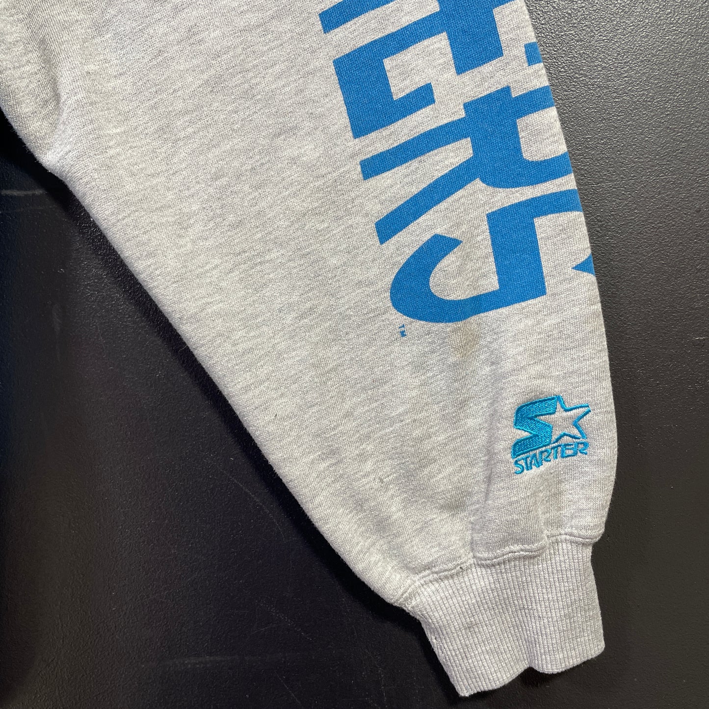 (XL) 90’s STARTER x CAROLINA PANTHERS Vintage NFL Hoodie Sweatshirt/ A1004S