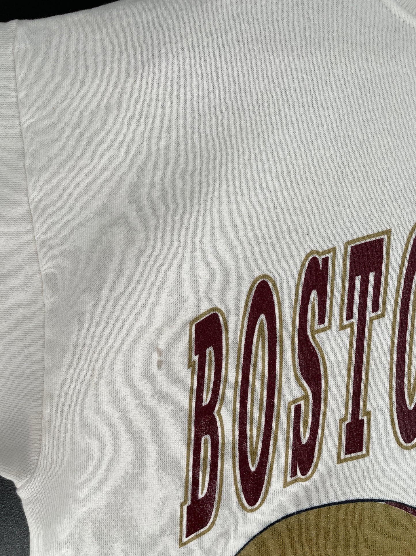 1993 BOSTON TAMPA BAY Size L College Sweat-Shirt / F4842S