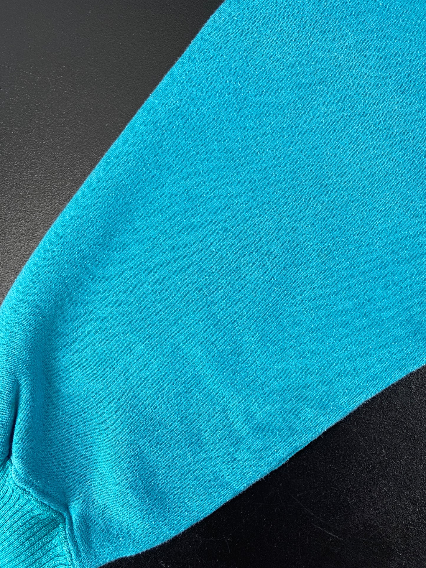 90’s CHARLOTTE HORNETS Size XL College Sweat-shirt / F4081S
