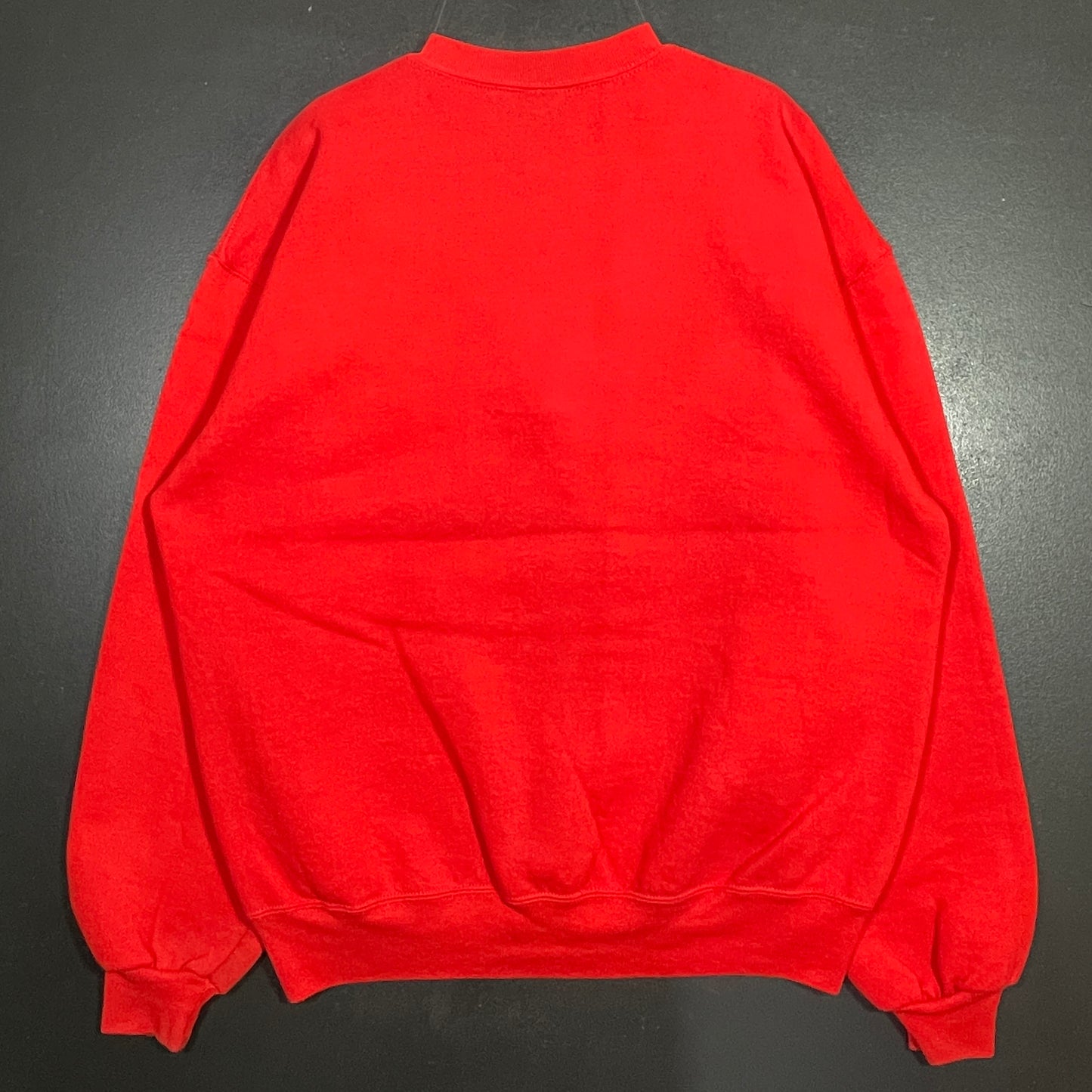 (L) 1995 NEBRASKA College Sweat-Shirt / A0600S