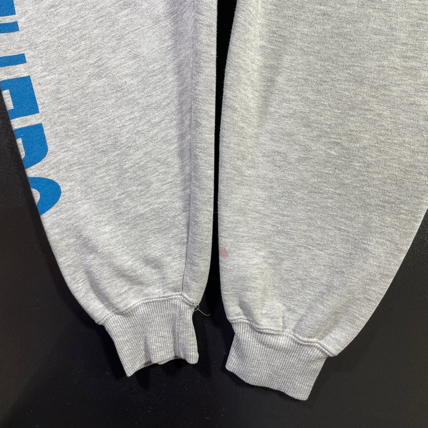 (XL) 90’s STARTER x CAROLINA PANTHERS Vintage NFL Hoodie Sweatshirt/ A1004S