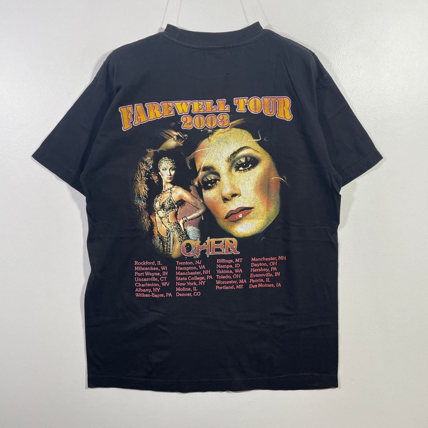 (M) 2003 CHER FAREWELL TOUR Vintage Music T-shirt / A0866T
