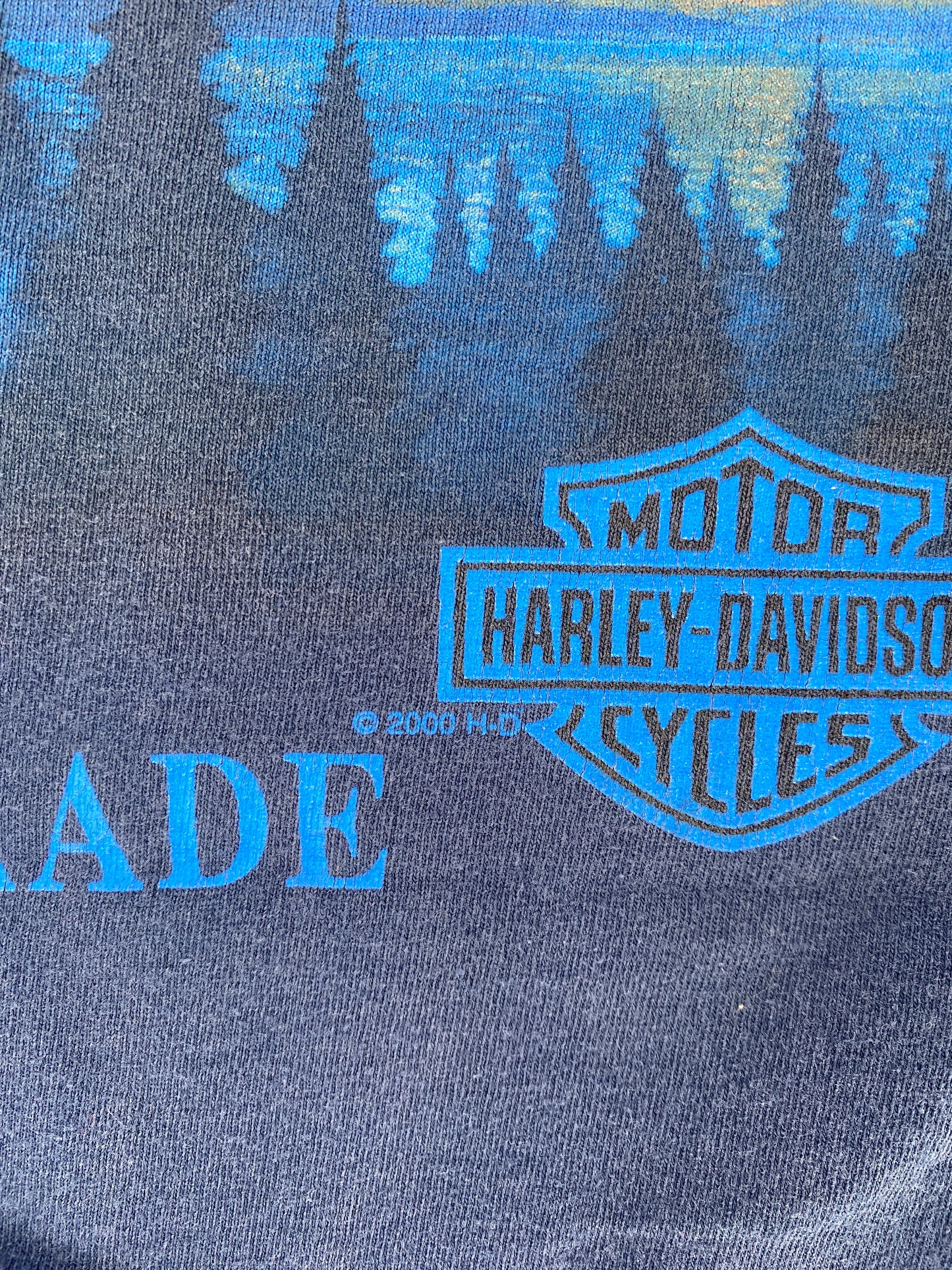 2000 HARLEY DAVIDSON Size XL Vintage T-Shirt / F3181T