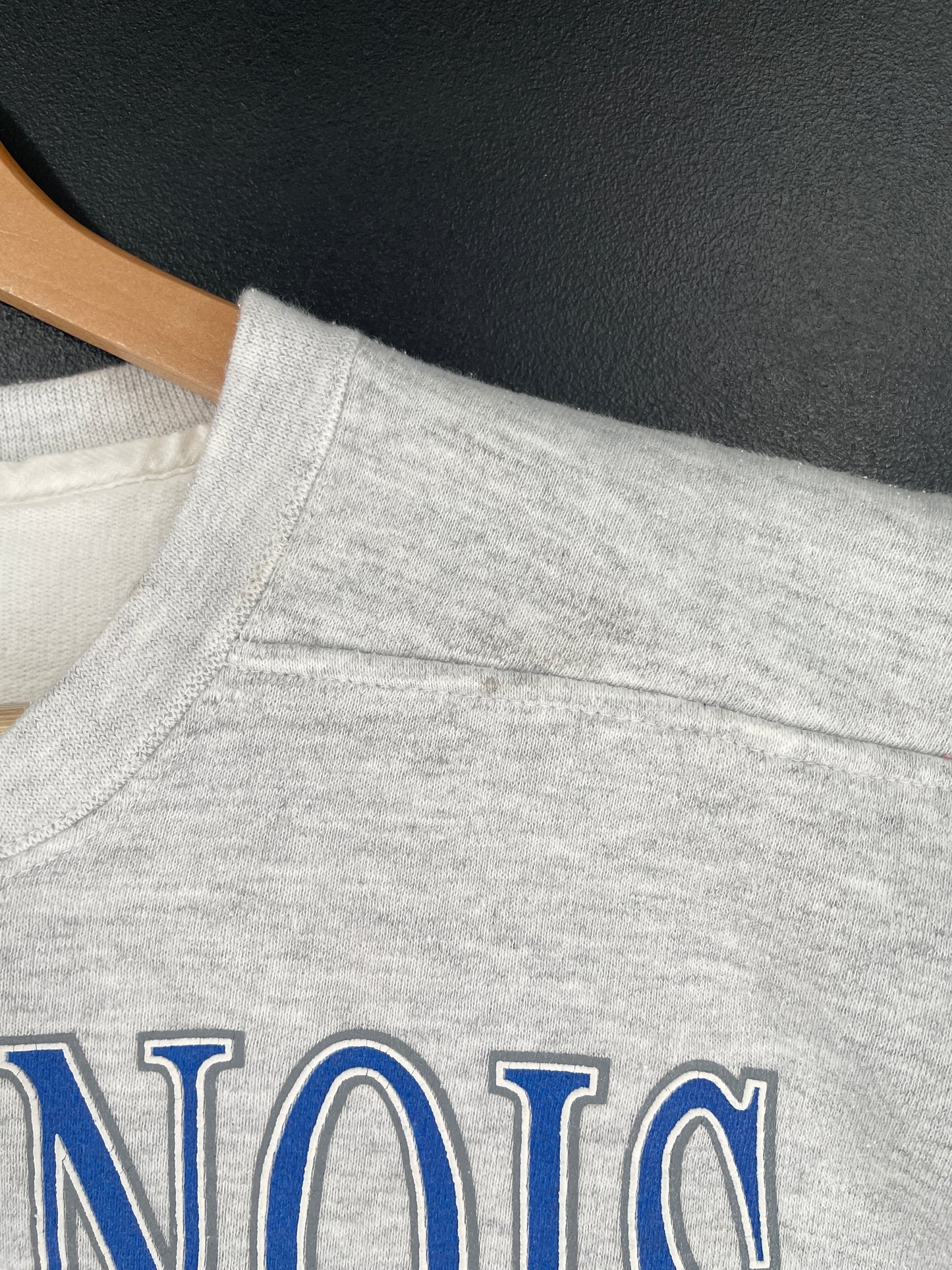 Vintage ILLINOIS PANTHERS Size L College Sweat-shirt / F2439S