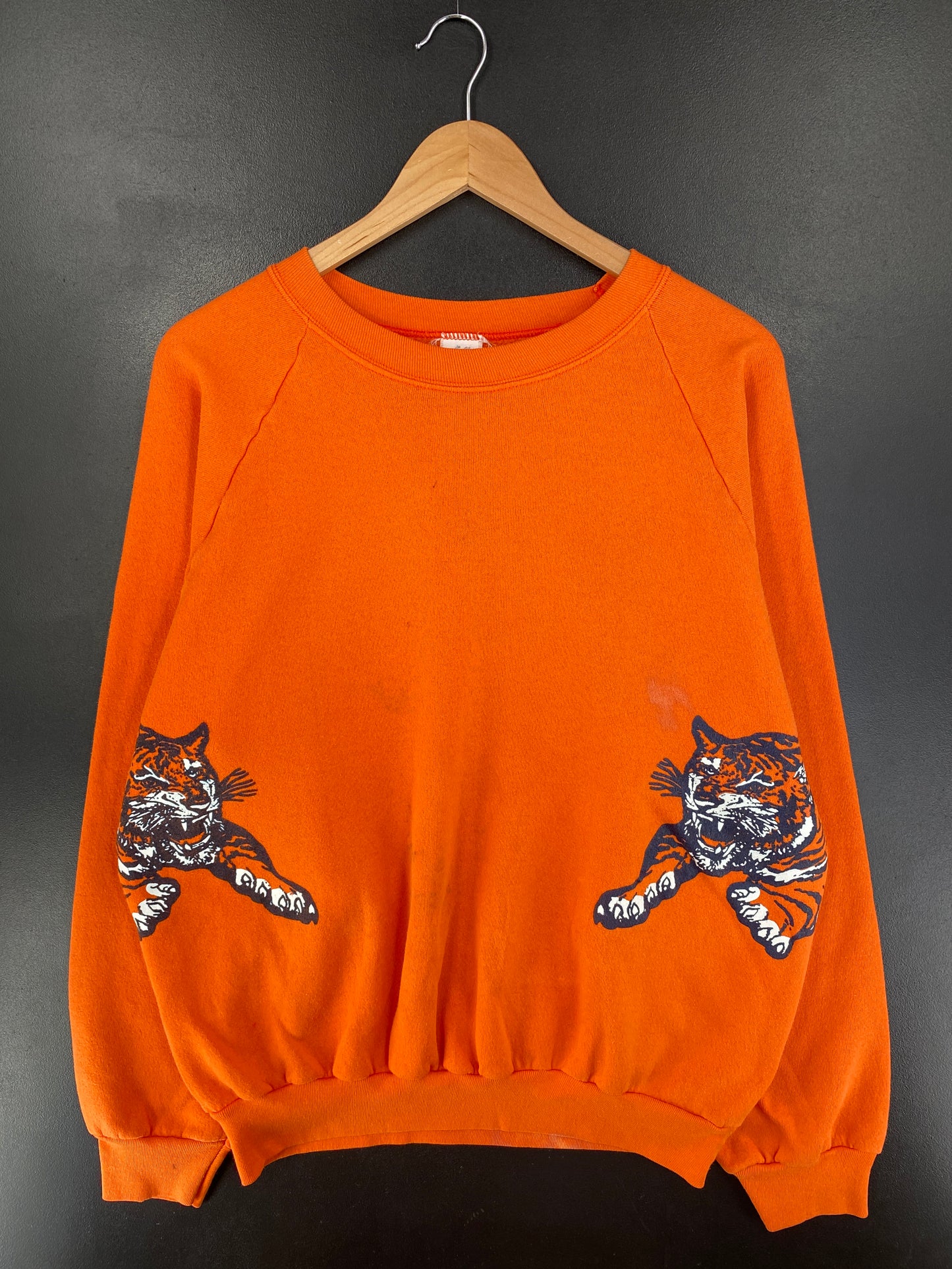 80's PRINCETON UNIVERSITY Size XXL Vintage College Sweat-Shirt / G1728S