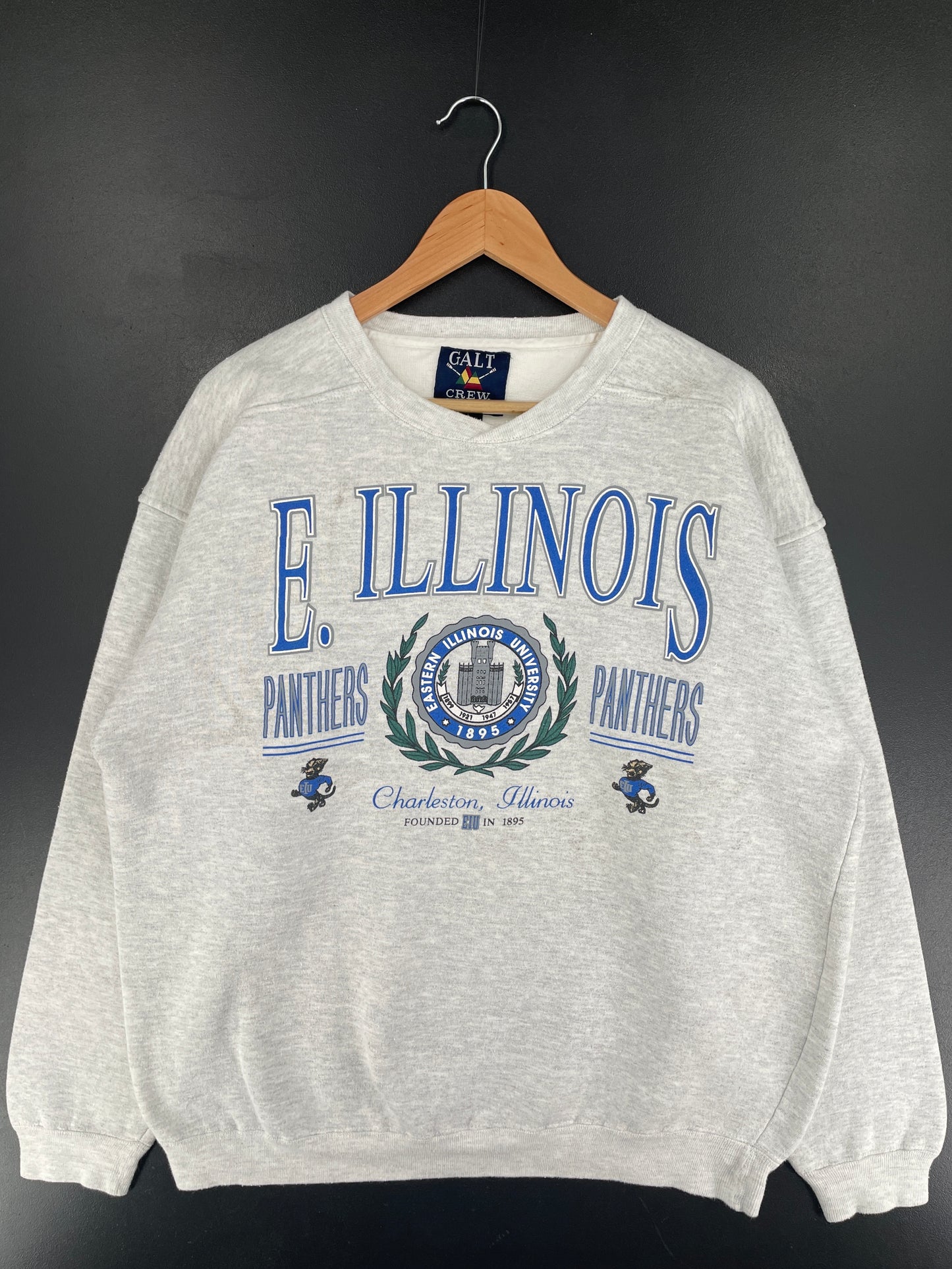 Vintage ILLINOIS PANTHERS Size L College Sweat-shirt / F2439S