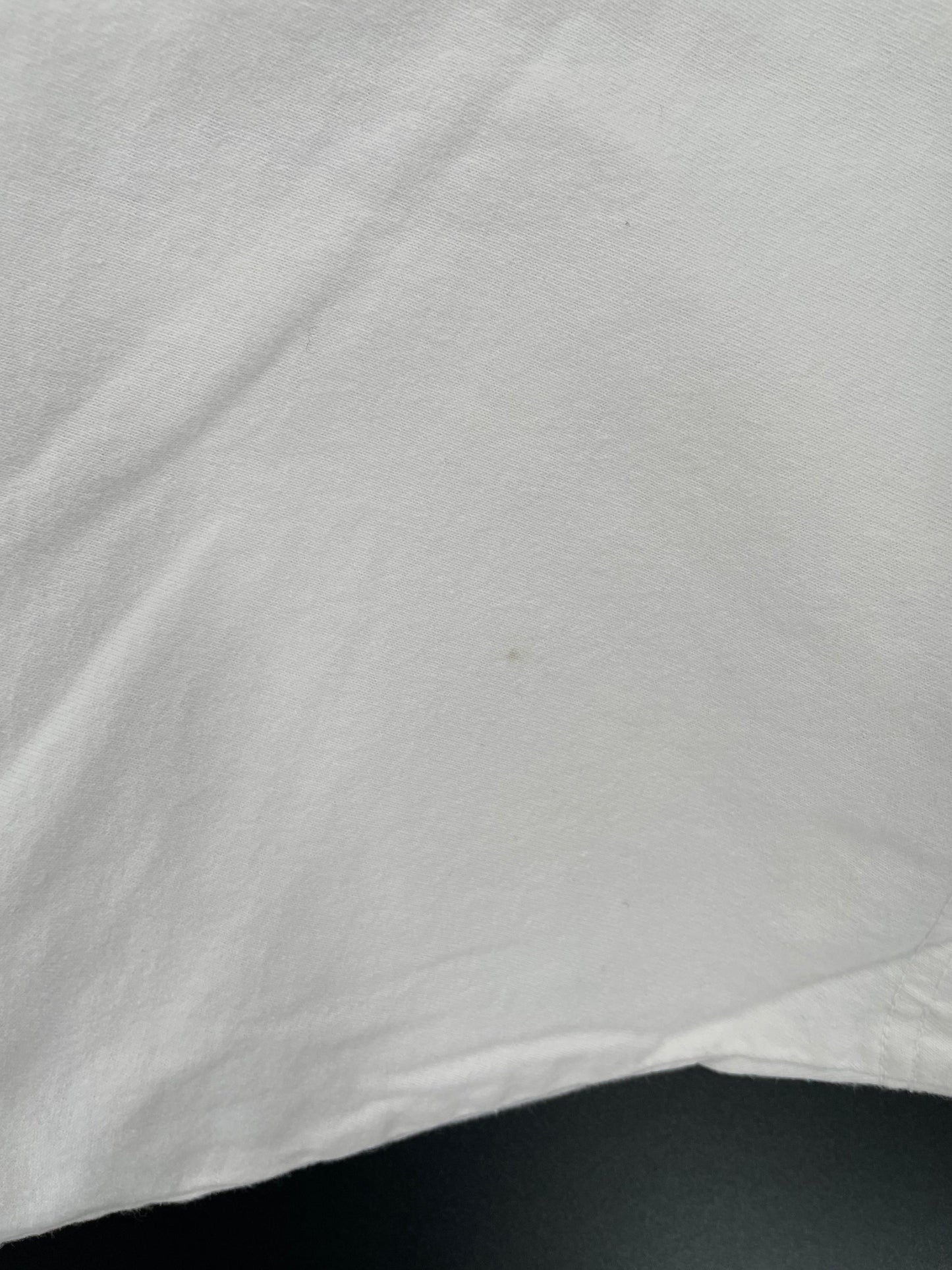 Vintage SIMPSON DOGG Size XXXL T-Shirt / F1310T