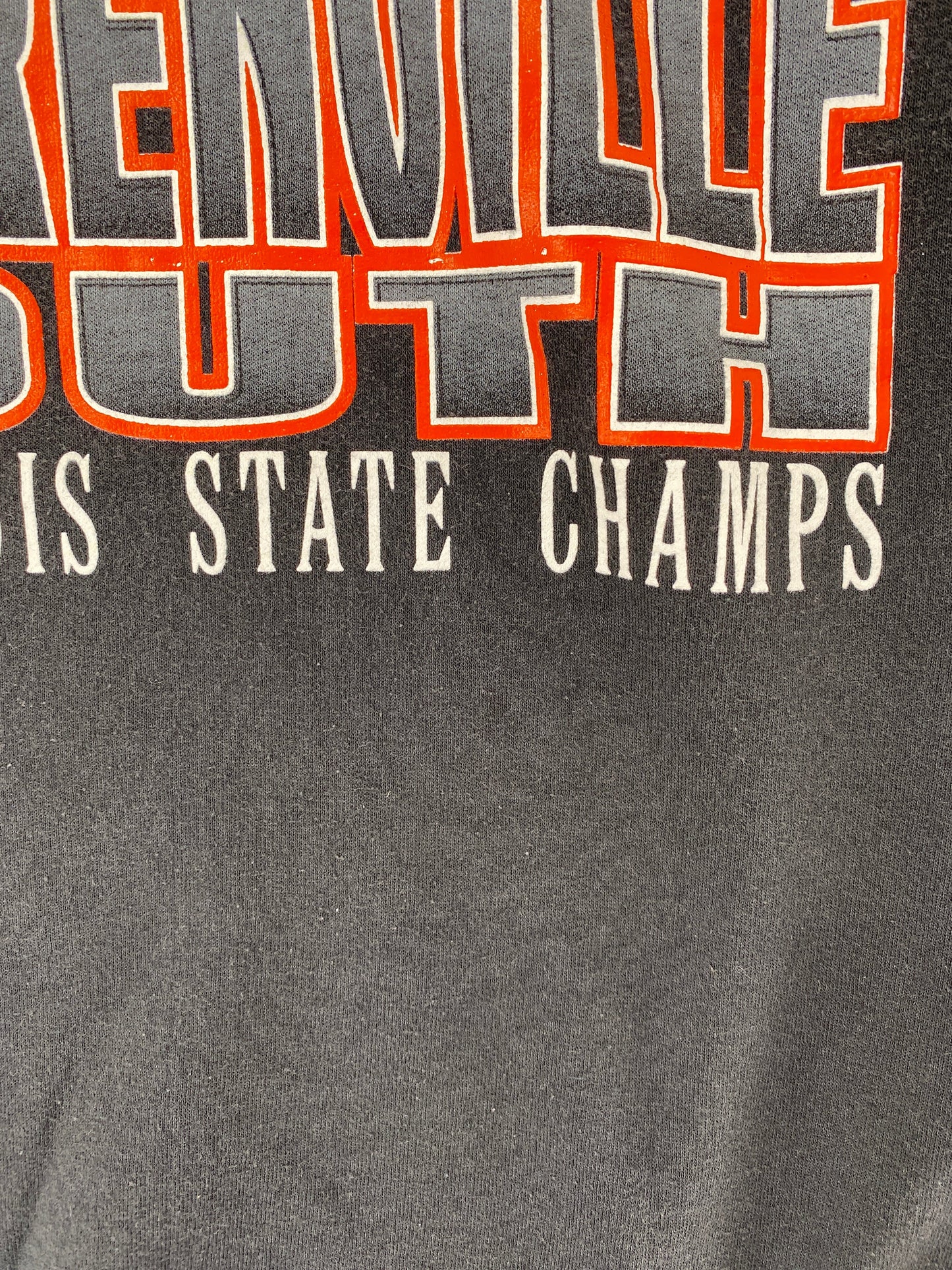 1998 ILLINOIS STATE CHAMPS Size XL Vintage Sweat-Shirt / G4856S