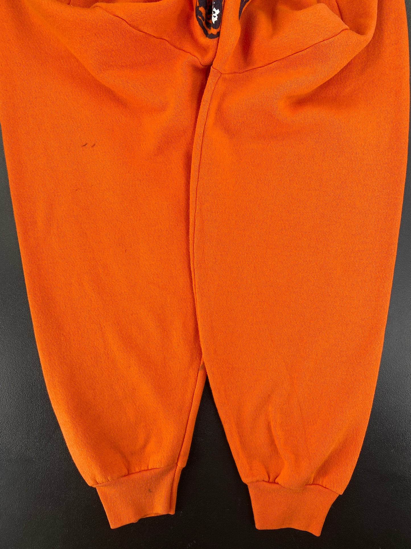 80's PRINCETON UNIVERSITY Size XXL Vintage College Sweat-Shirt / G1728S