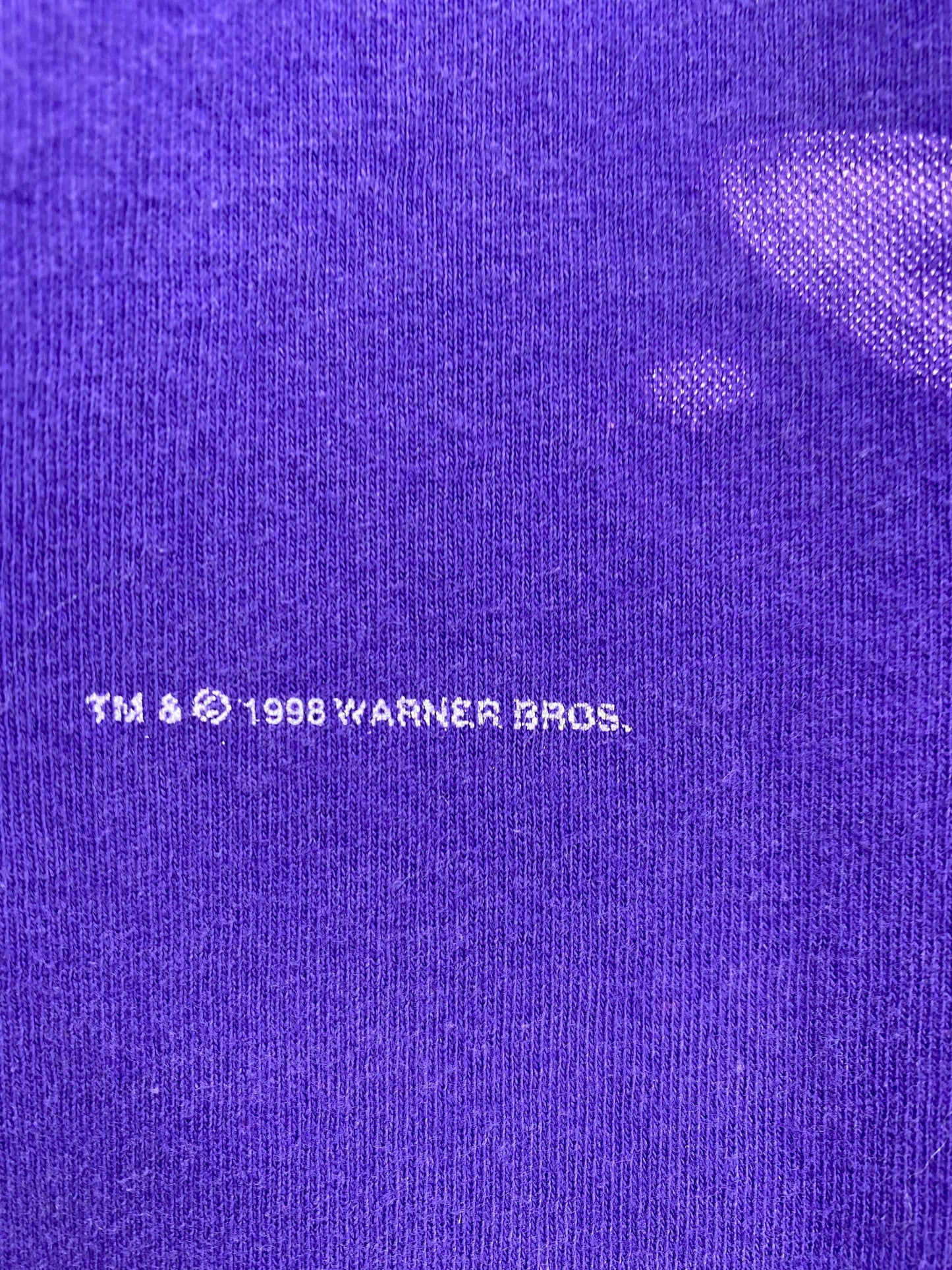 1998 LOONEY TUNES TAZ Size XL Vintage T-Shirt / G1982T