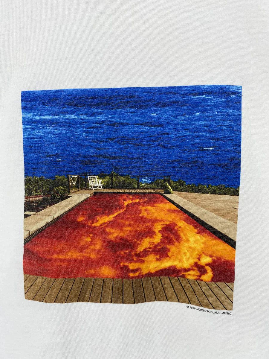 1999 RED HOT CHILI PEPPERS Size XL Vintage Music T-shirts / F968T