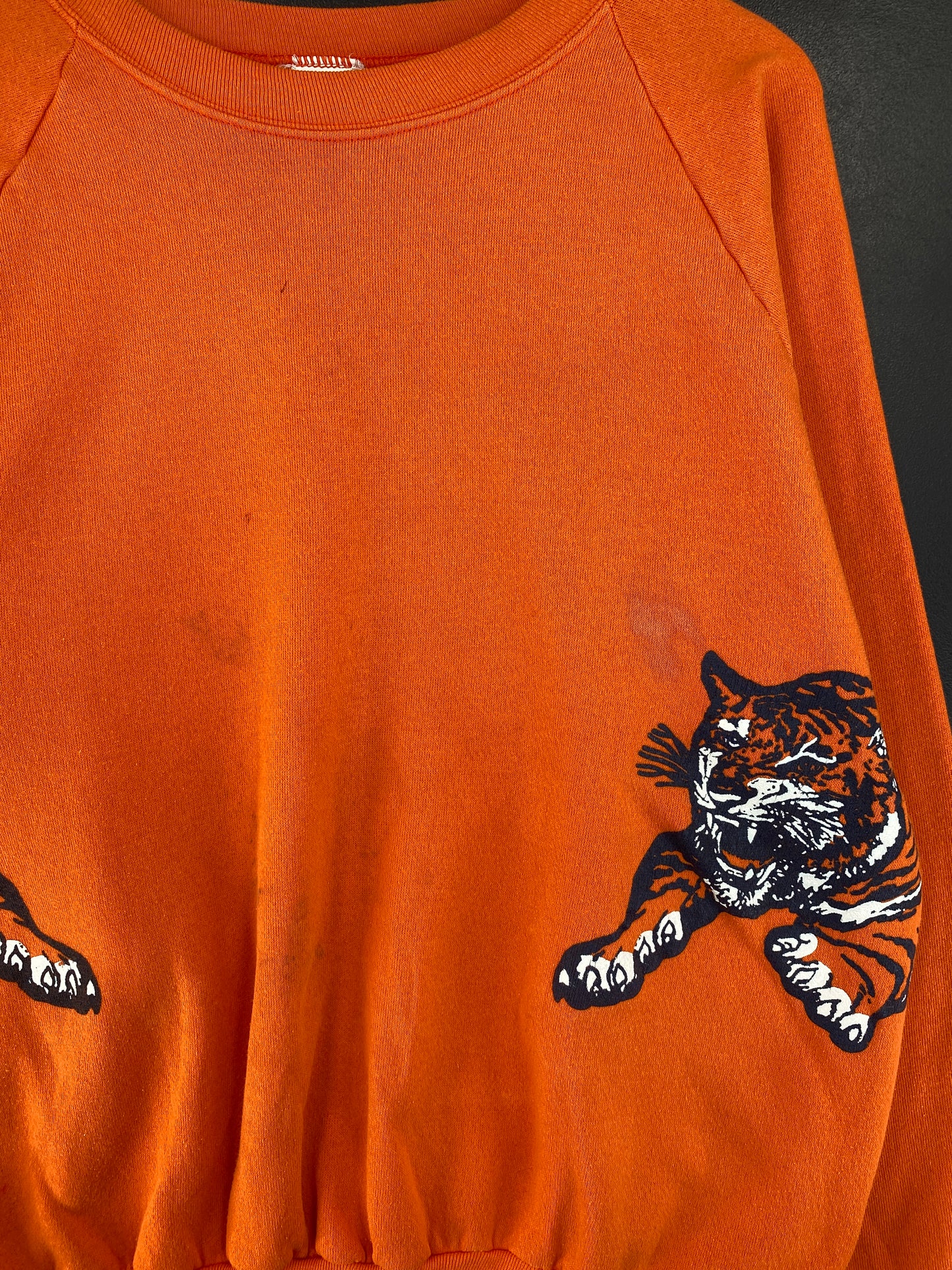 80's PRINCETON UNIVERSITY Size XXL Vintage College Sweat-Shirt / G1728S