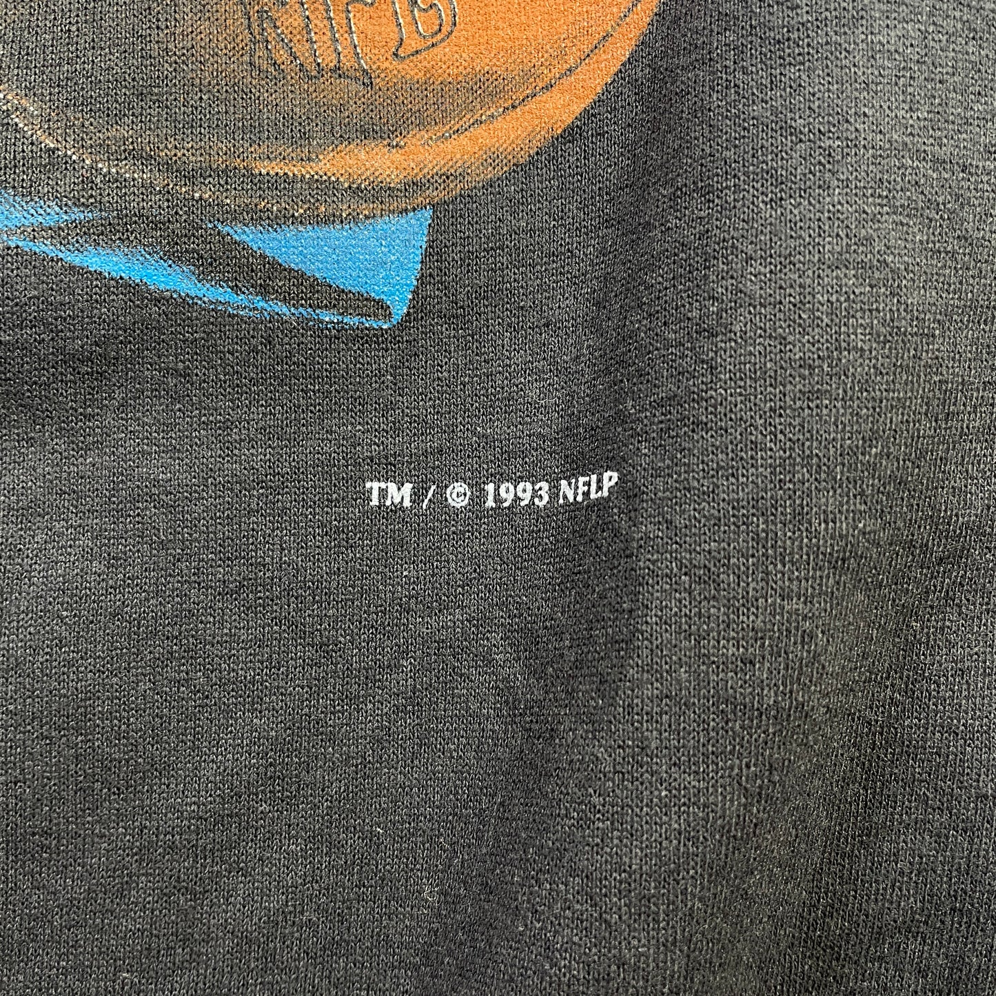 (XL) 1993 CAROLINA PANTHERS Vintage NFL Sweatshirt / A1009S