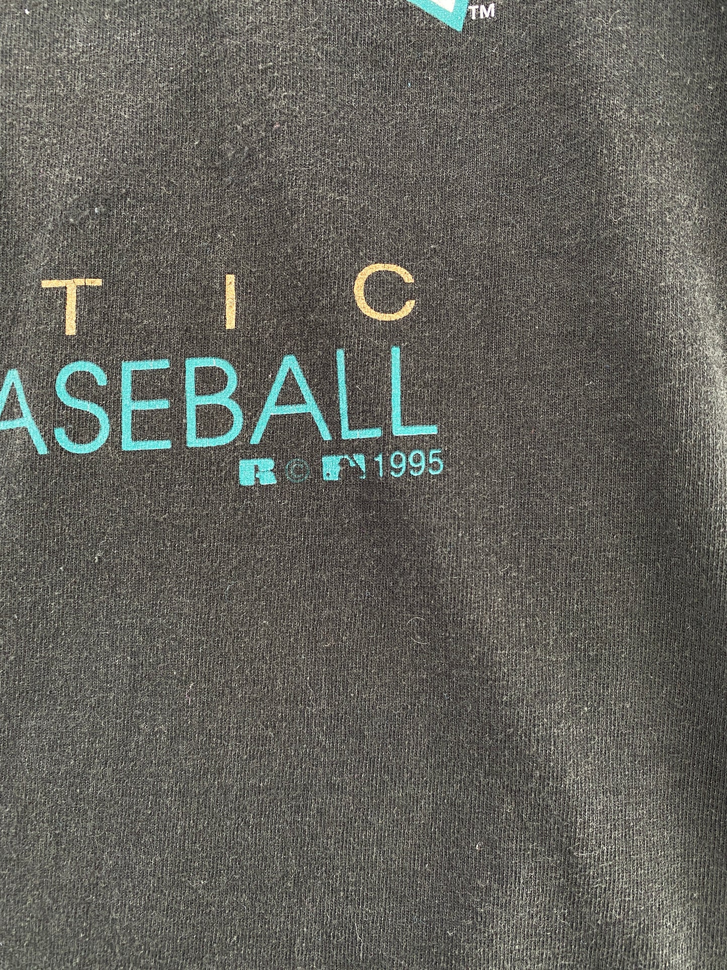 1995 ARIZONA DIAMONDBACKS Made in USA Size L Vintage MLB T-Shirt / F7970T