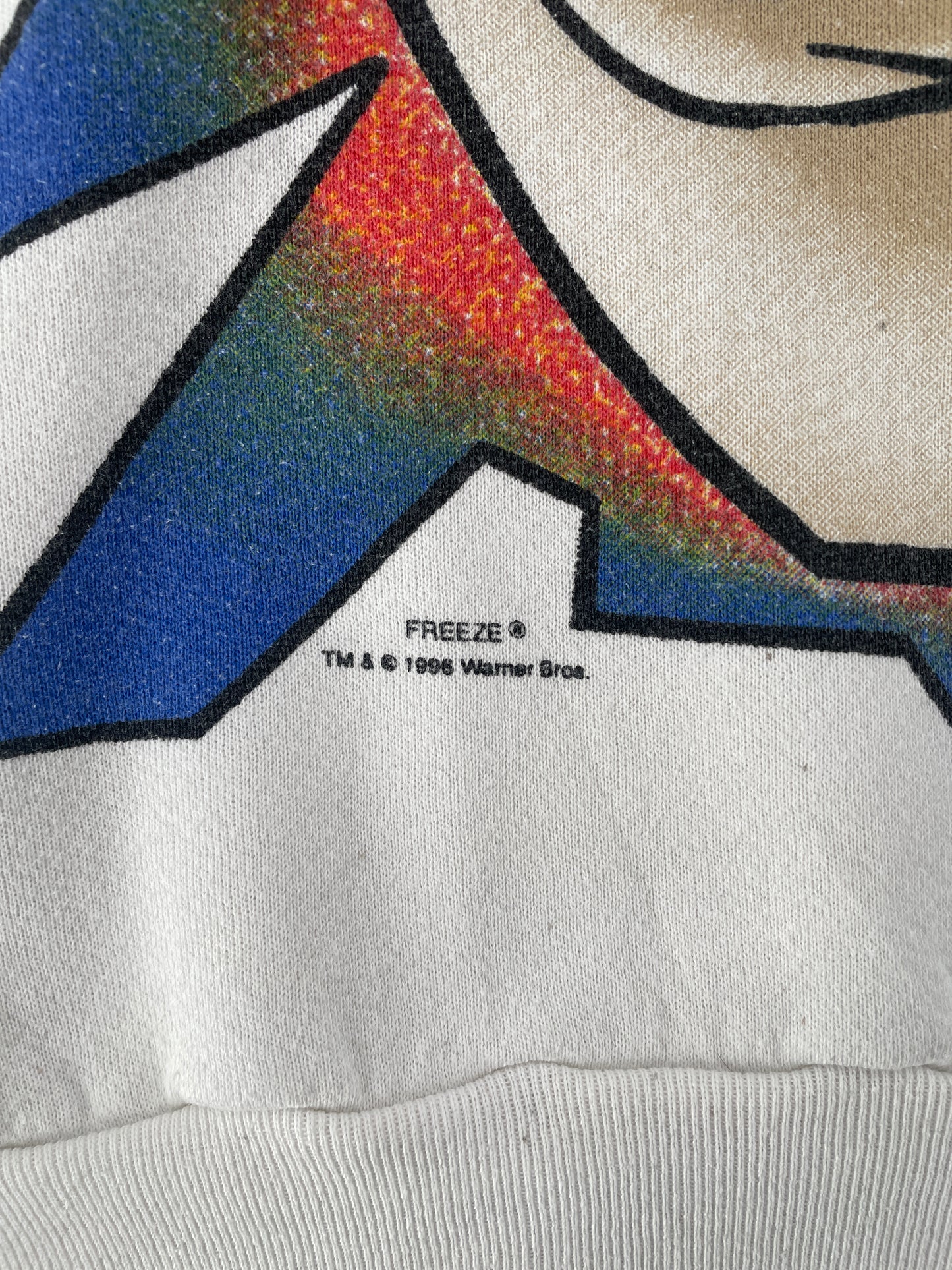 1995 LOONEY TUNES TAZ Made in USA Size L Vintage Sweat-shirt / G4116S