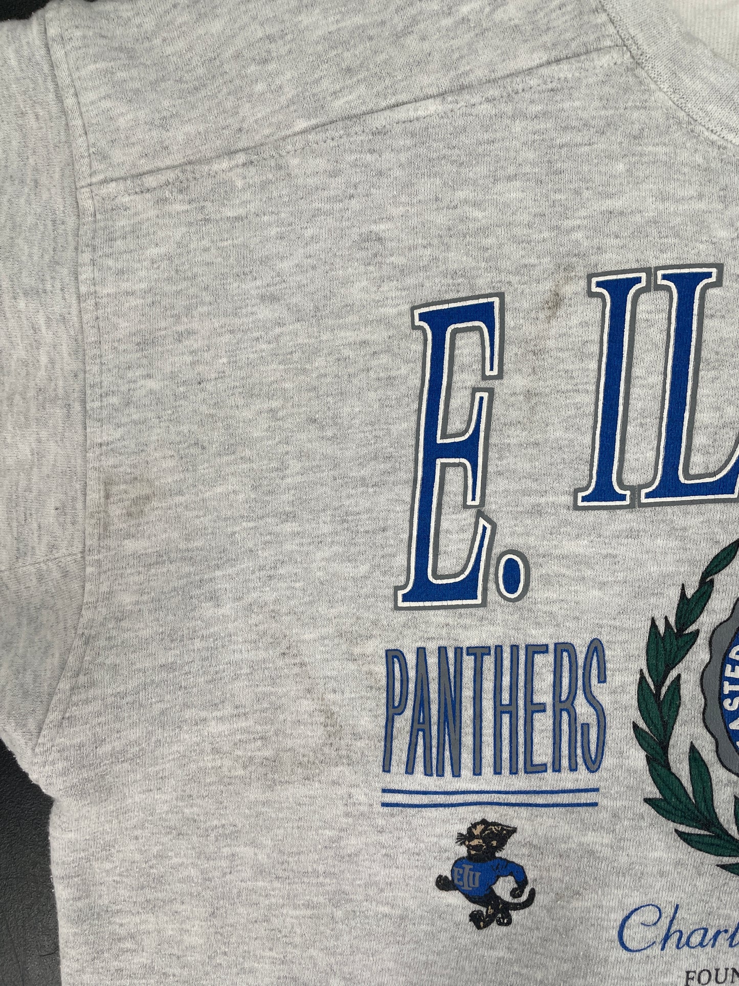 Vintage ILLINOIS PANTHERS Size L College Sweat-shirt / F2439S