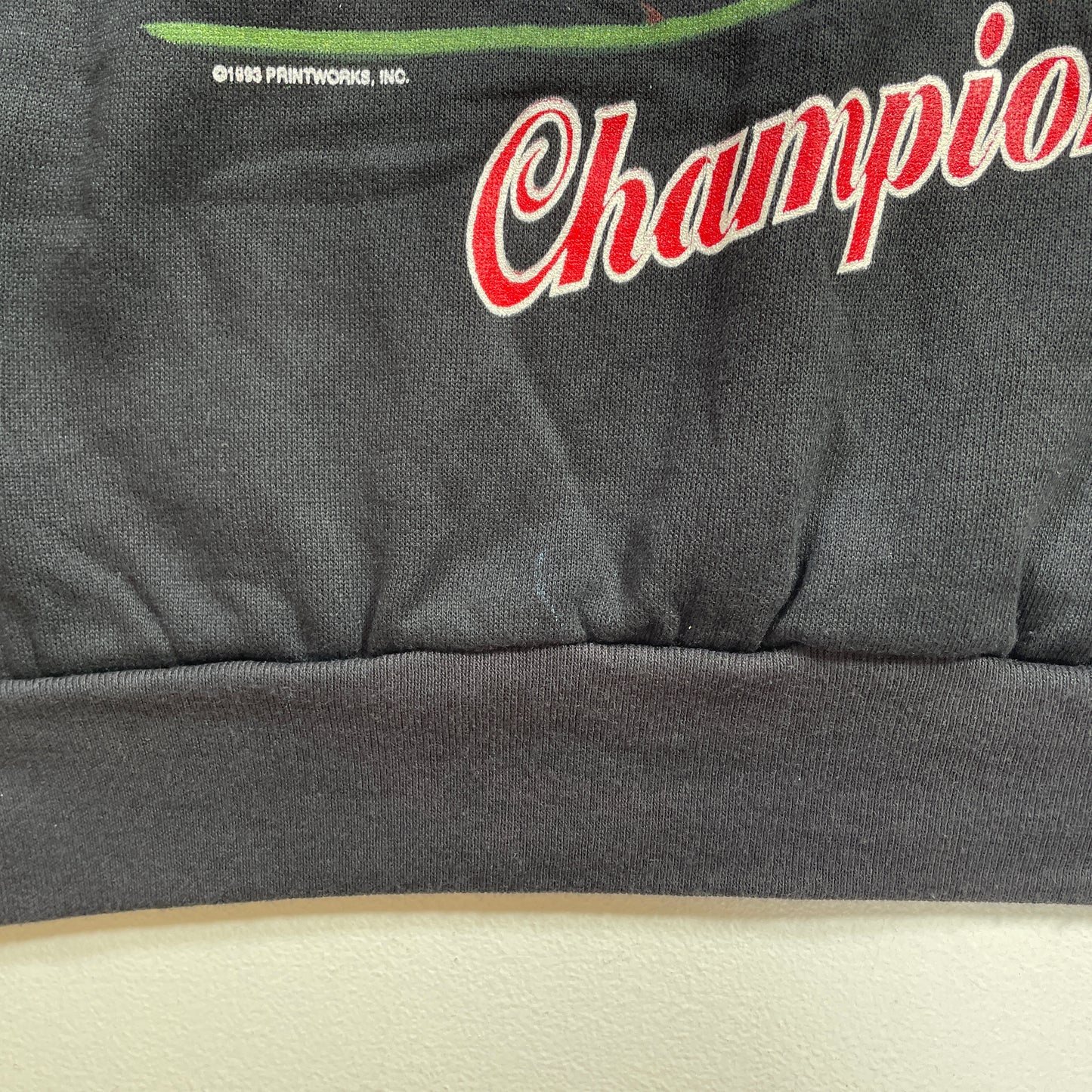 (XL) 1993 WISCONSIN BADGERS Dead Stock Vintage College Sweatshirt / A1080S