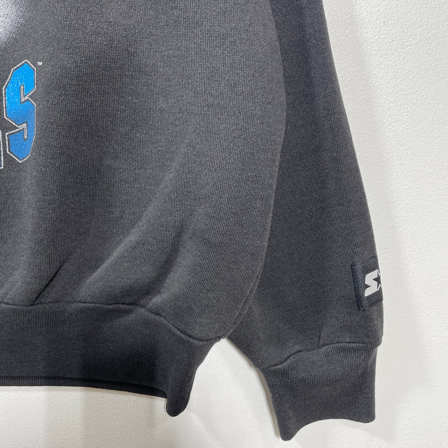 (XL) 1993 STARTER x CAROLINA PANTHERS Vintage NFL Sweatshirt / A1374S