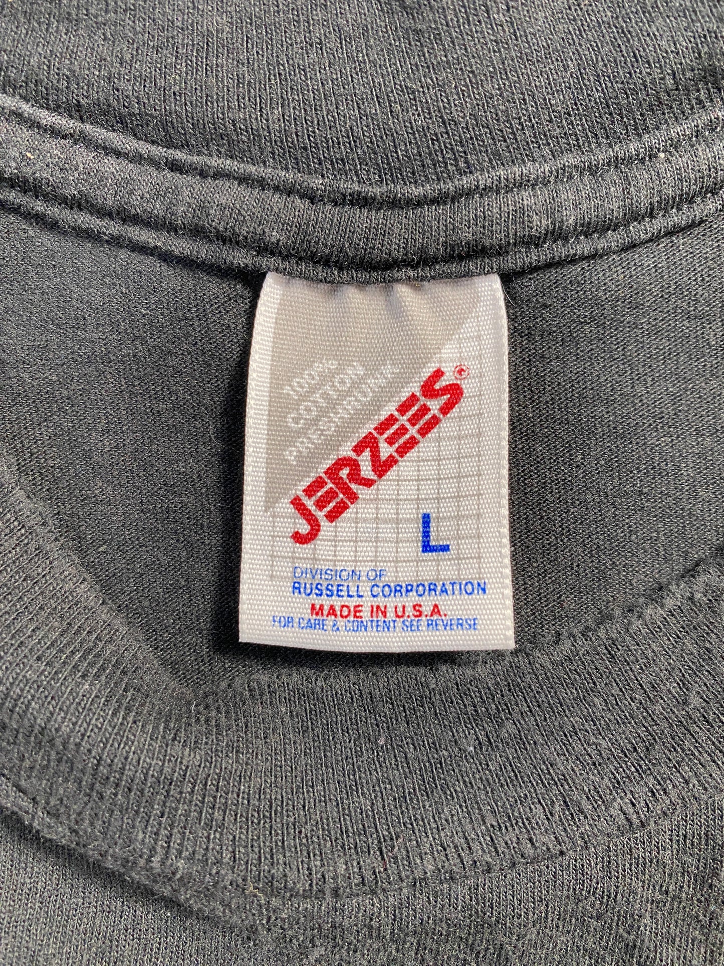 1995 ARIZONA DIAMONDBACKS Made in USA Size L Vintage MLB T-Shirt / F7970T