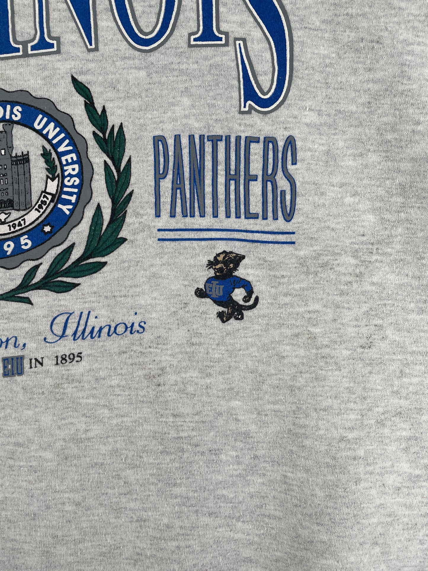 Vintage ILLINOIS PANTHERS Size L College Sweat-shirt / F2439S