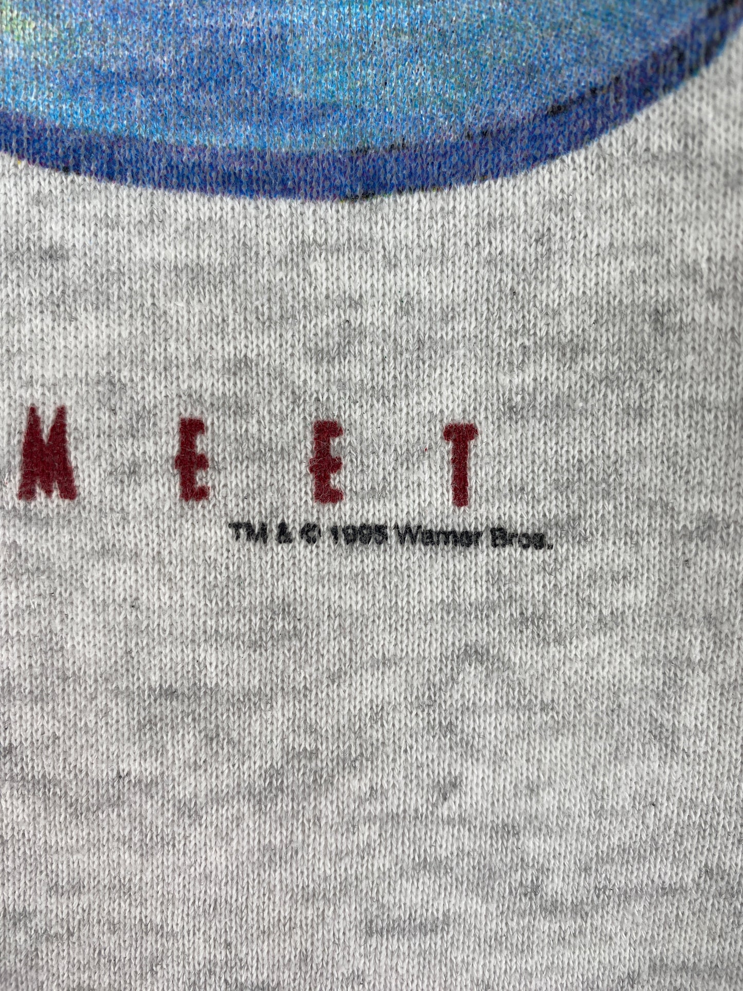 1995 FRIENDS Made in USA Size XL Vintage Sweat-Shirt / F4505S