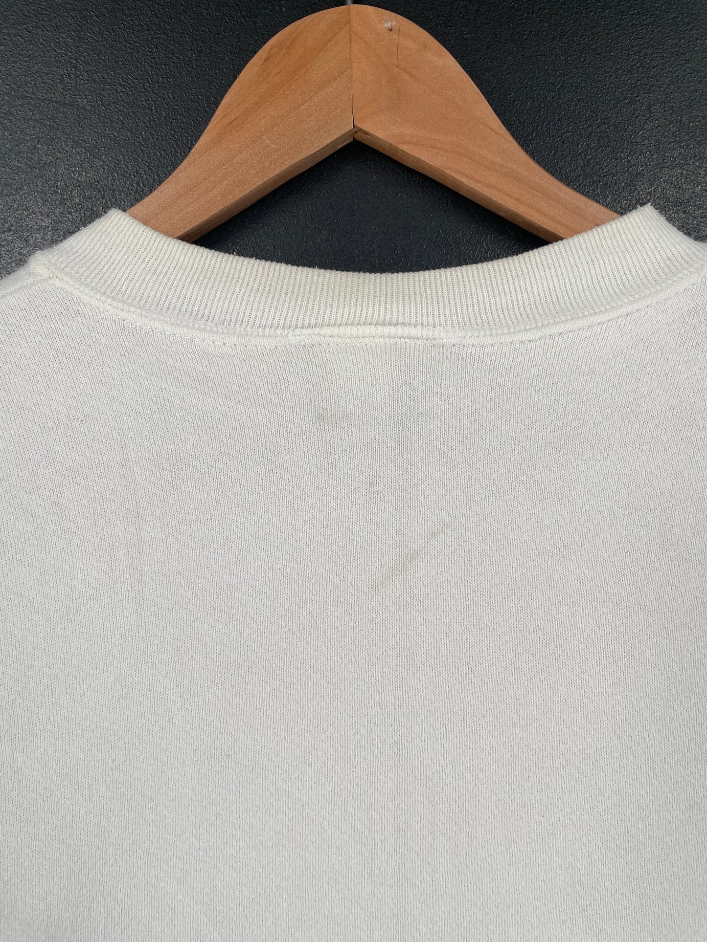 1995 LOONEY TUNES TAZ Made in USA Size L Vintage Sweat-shirt / G4116S