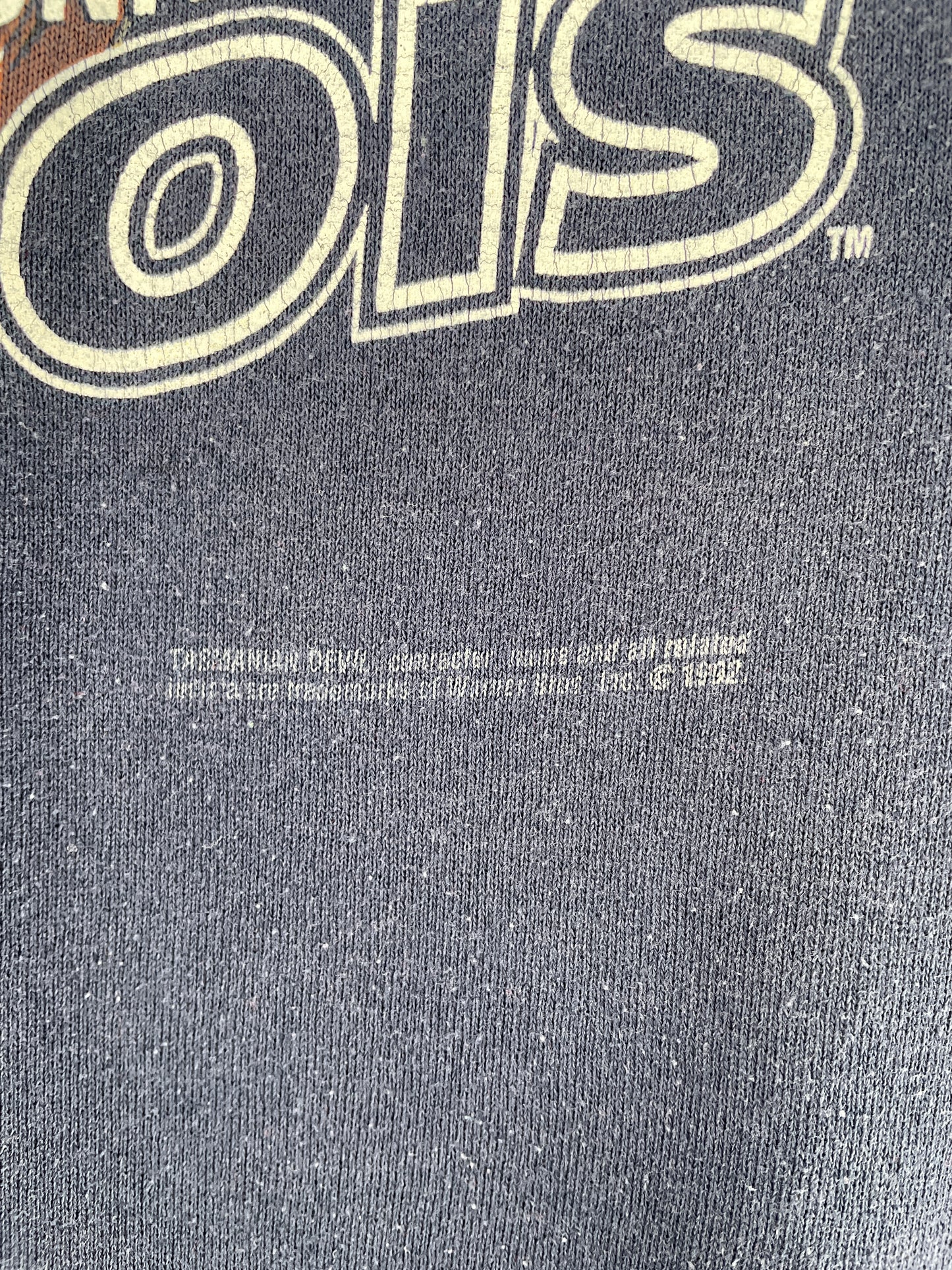 1992 LOONEY TUNES x University of ILLINOIS Made in USA Size XXXXL Vintage Sweat Shirt / G4938S