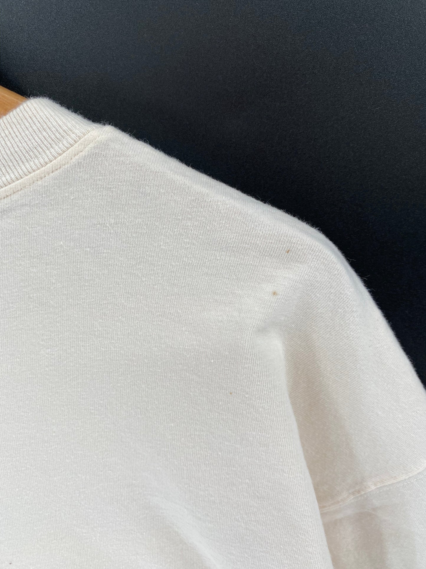 1993 LOONEY TUNES TAZ Size L Vintage T-Shirt / G3013T