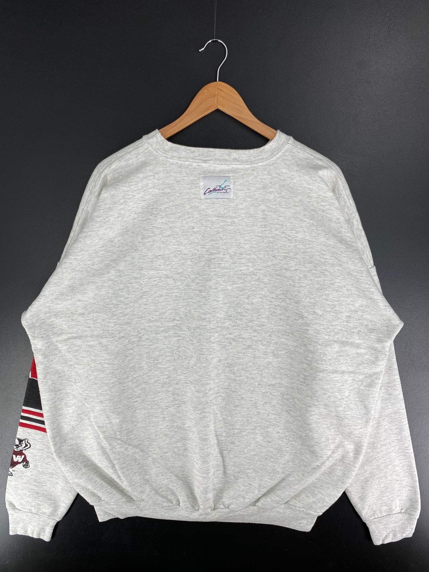 90’s WISCONSIN BADGERS Size 2 (Approx.XXL) College Sweat-Shirt / F4402S