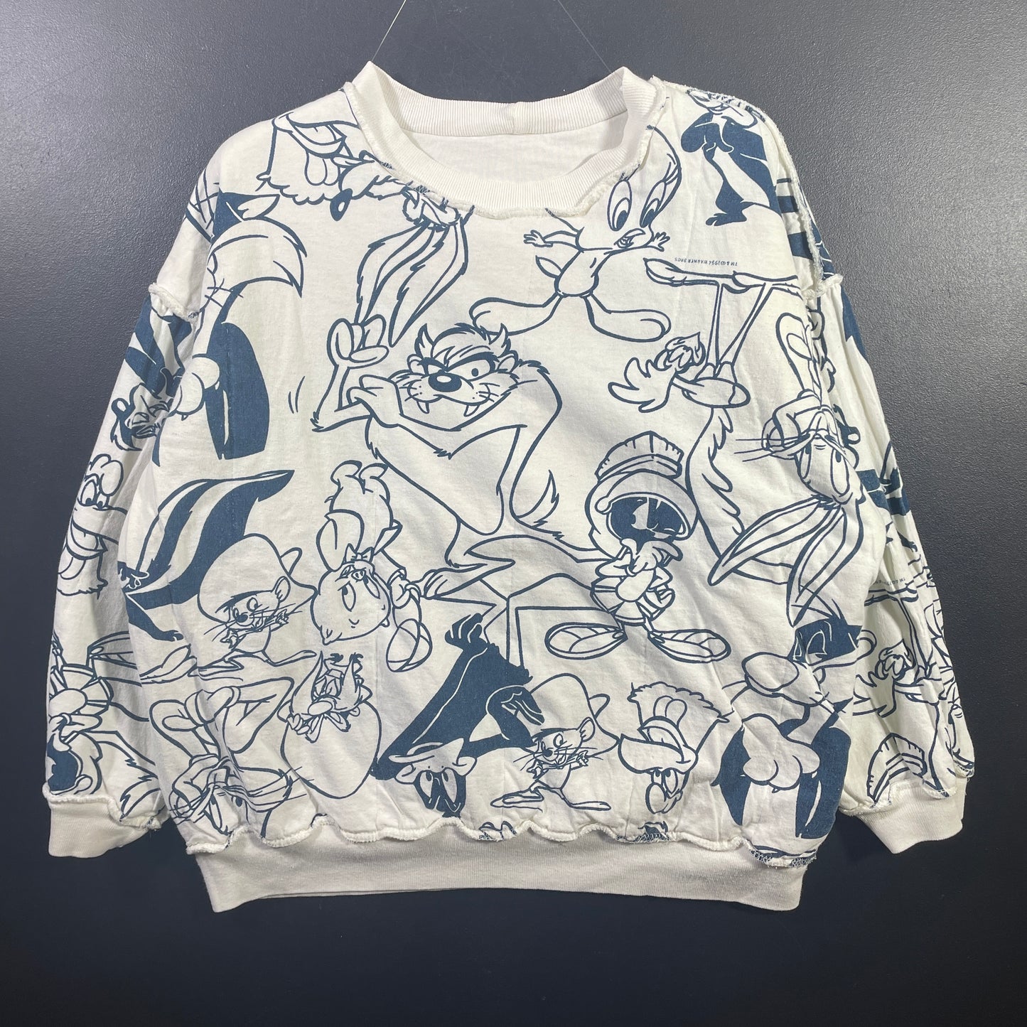 (Ladies S) 1994 LOONEY TUNES TWEETY Vintage Sweatshirt / A0881S