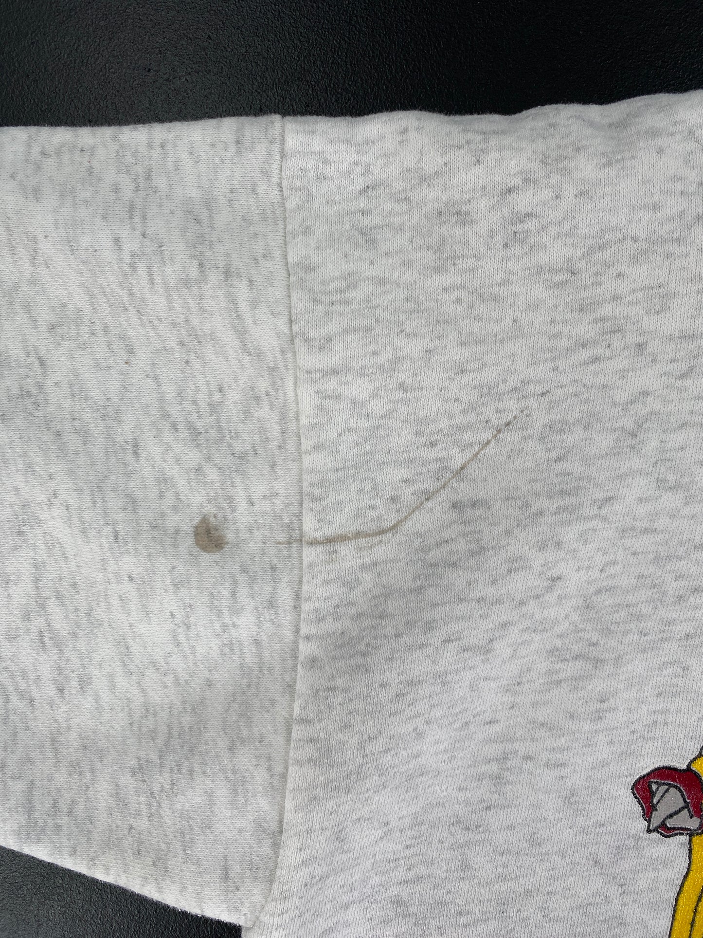 1993 WARNER BROS x FLORIDA STATE Made in USA Size L Vintage Sweat-shirt / F3207S