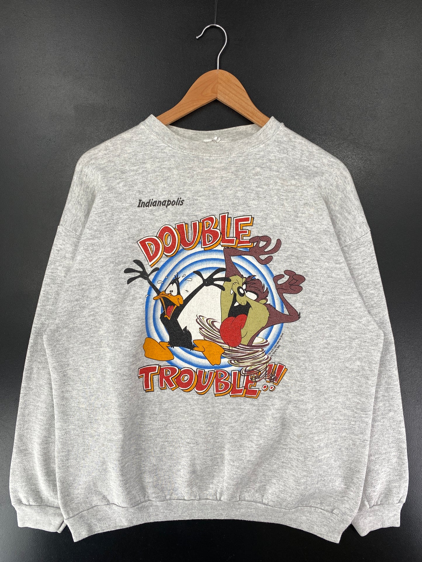 1994 LOONEY TUNES TAZ Size Approx.L Vintage Sweat-shirt / G4292S