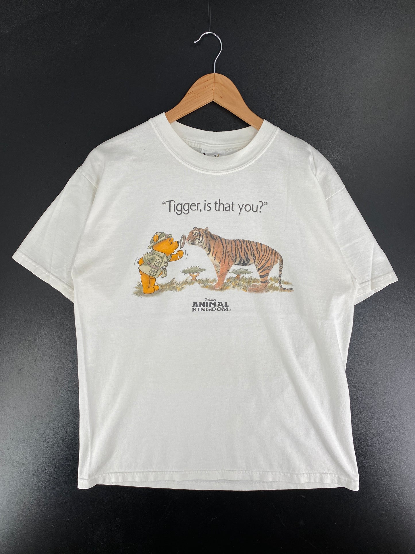 00’ Disney Animal Kingdom Size M DISNEY T-Shirt / F3534T