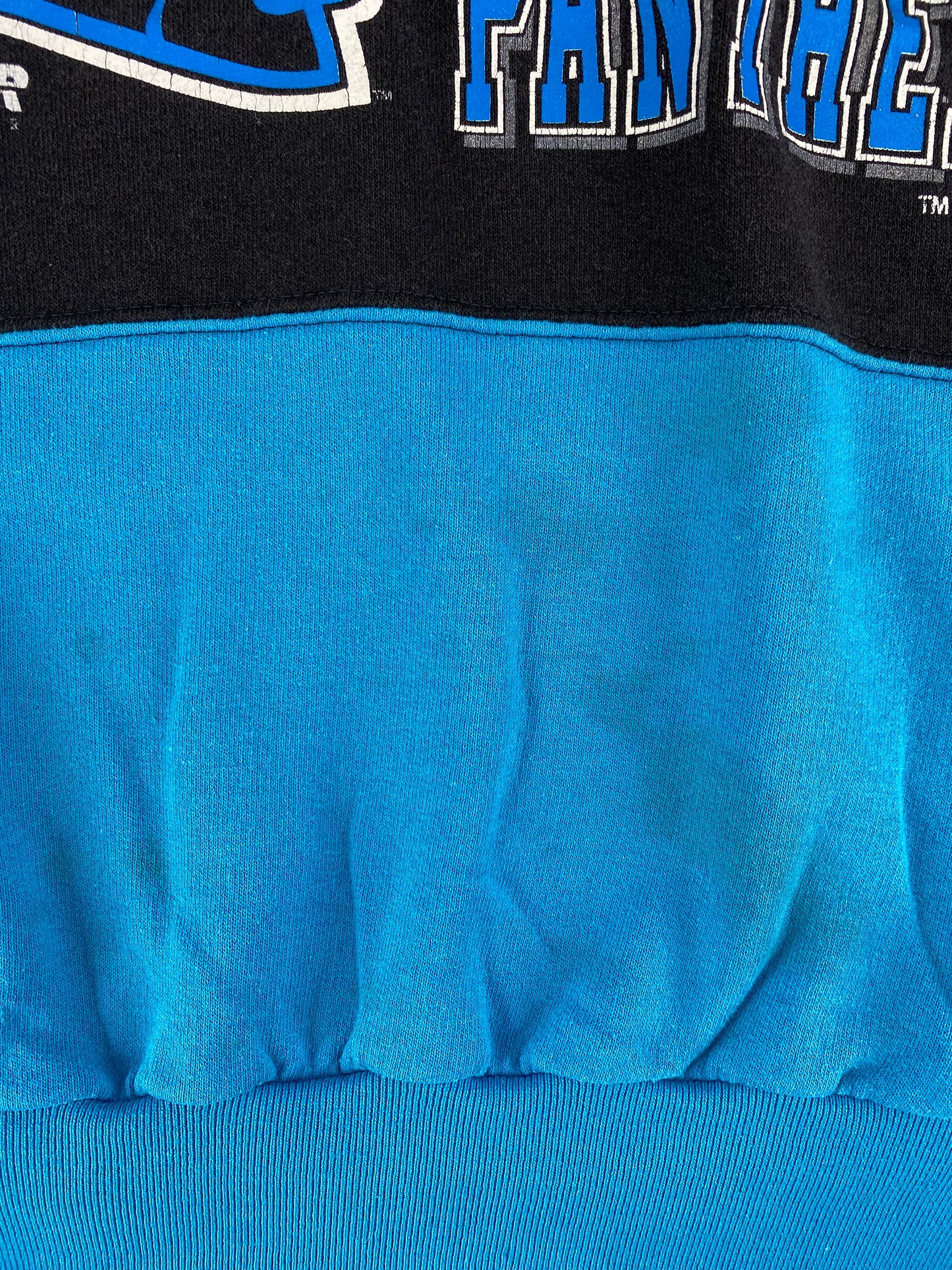 1993 CAROLINA PANTHERS Made in USA Size XL NFL Sweat-Shirt / F6105S