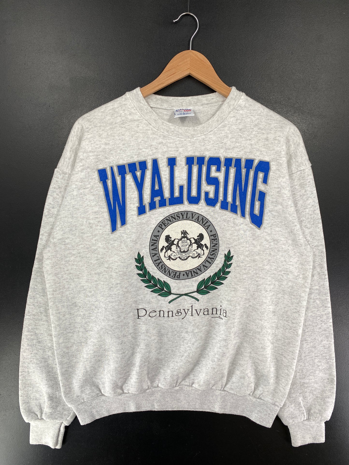 90's PENNSYLVANIA WYALUSING Made in USA Size L Vintage College Sweat-Shirts / G5967S