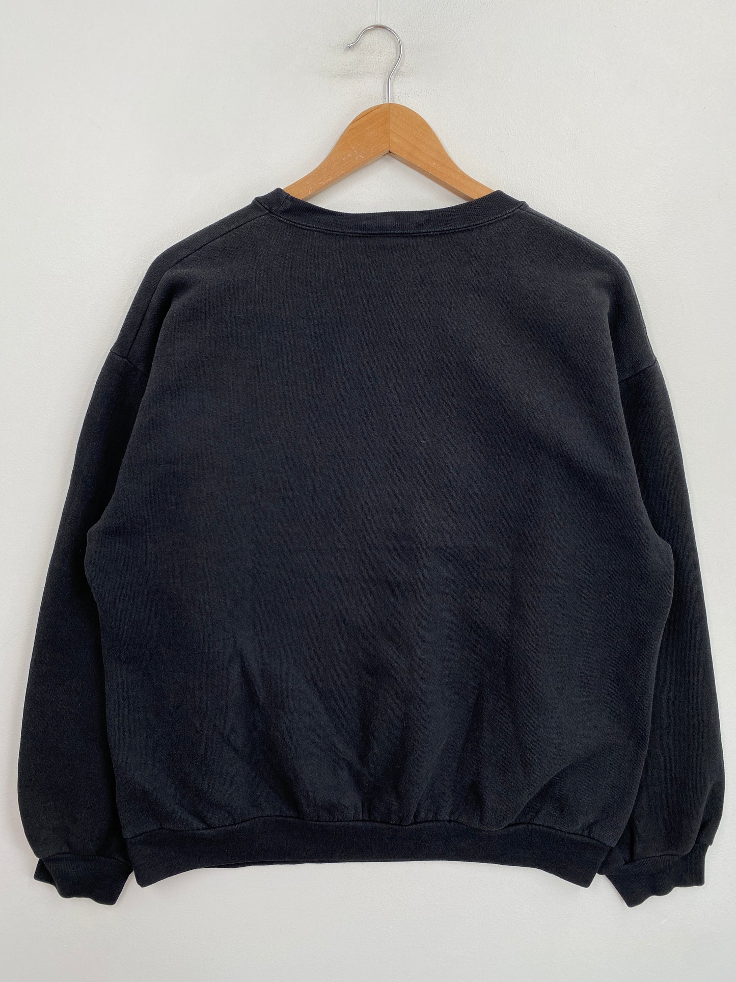 00’ CAROLINA PANTHERS Size L NFL Sweatshirt / G6435S