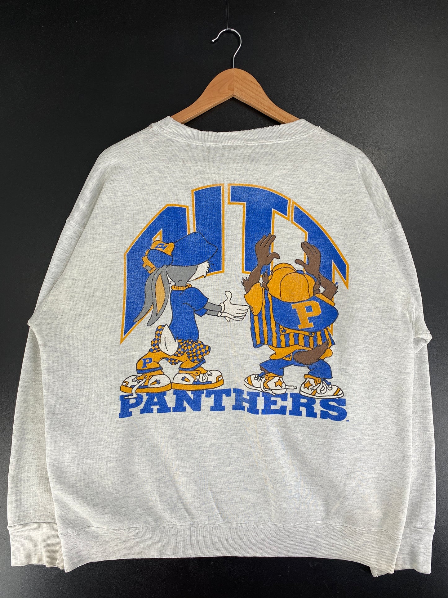 1993 LOONY TUNES x PANTHERS Size XL NFL Sweat-Shirt / F9088S