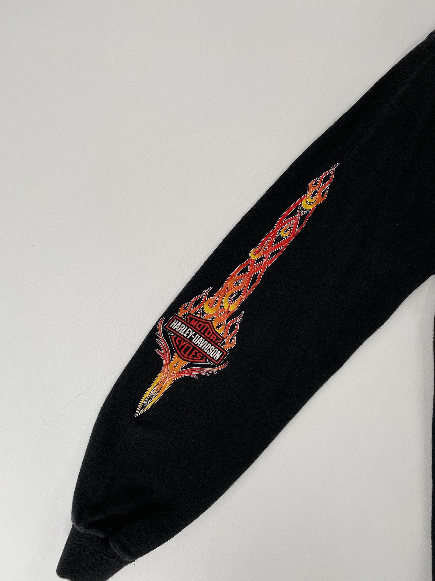.2001 HARLEY DAVIDSON Size Ladies.L Vintage Long Sleevs T-shirt / F8282T