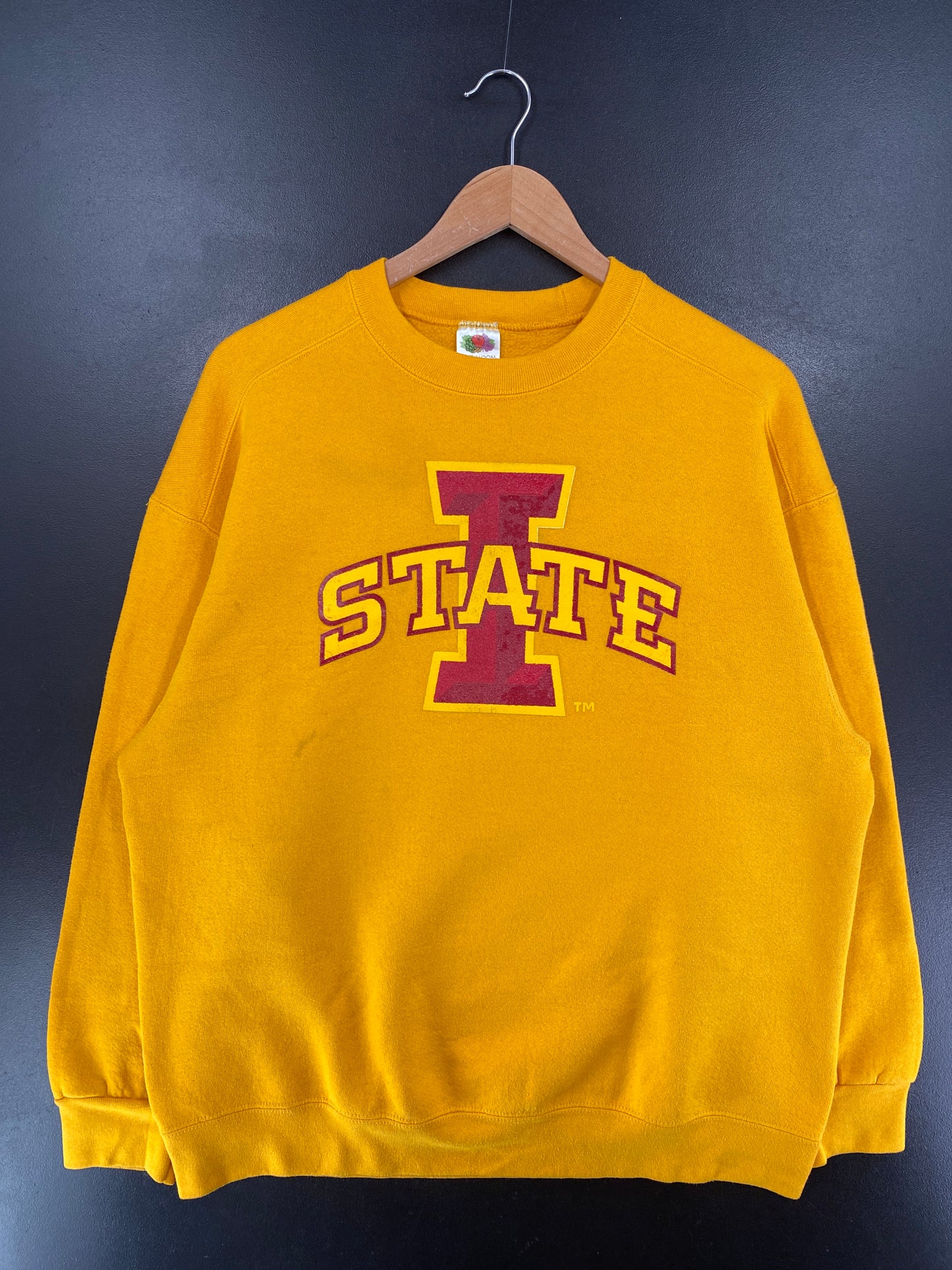 90’s IOWA STATE Size XL College Sweat-Shirt / G6504S