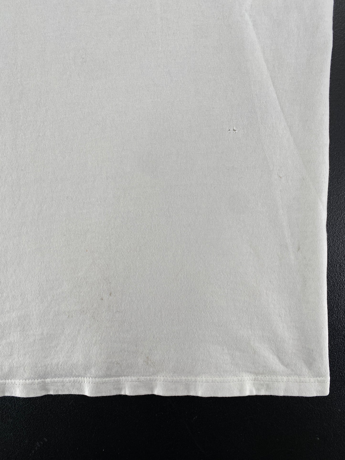 90's DISNEY MICHIGAN Made in USA Size XL Vintage T-Shirt / G6535T