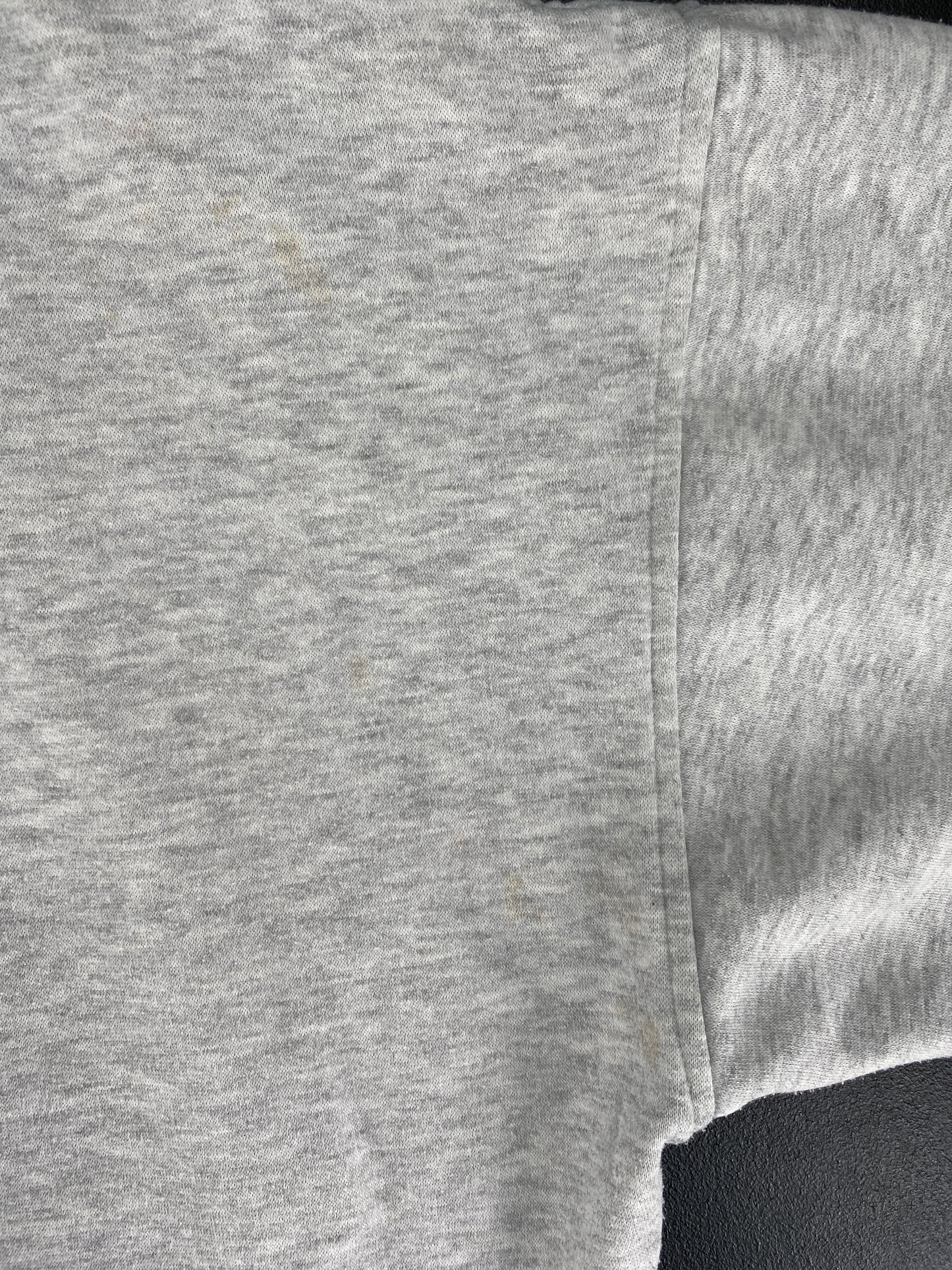 00’ ALASKA WILDERNESS Size L Sweat-shirt / G6403S