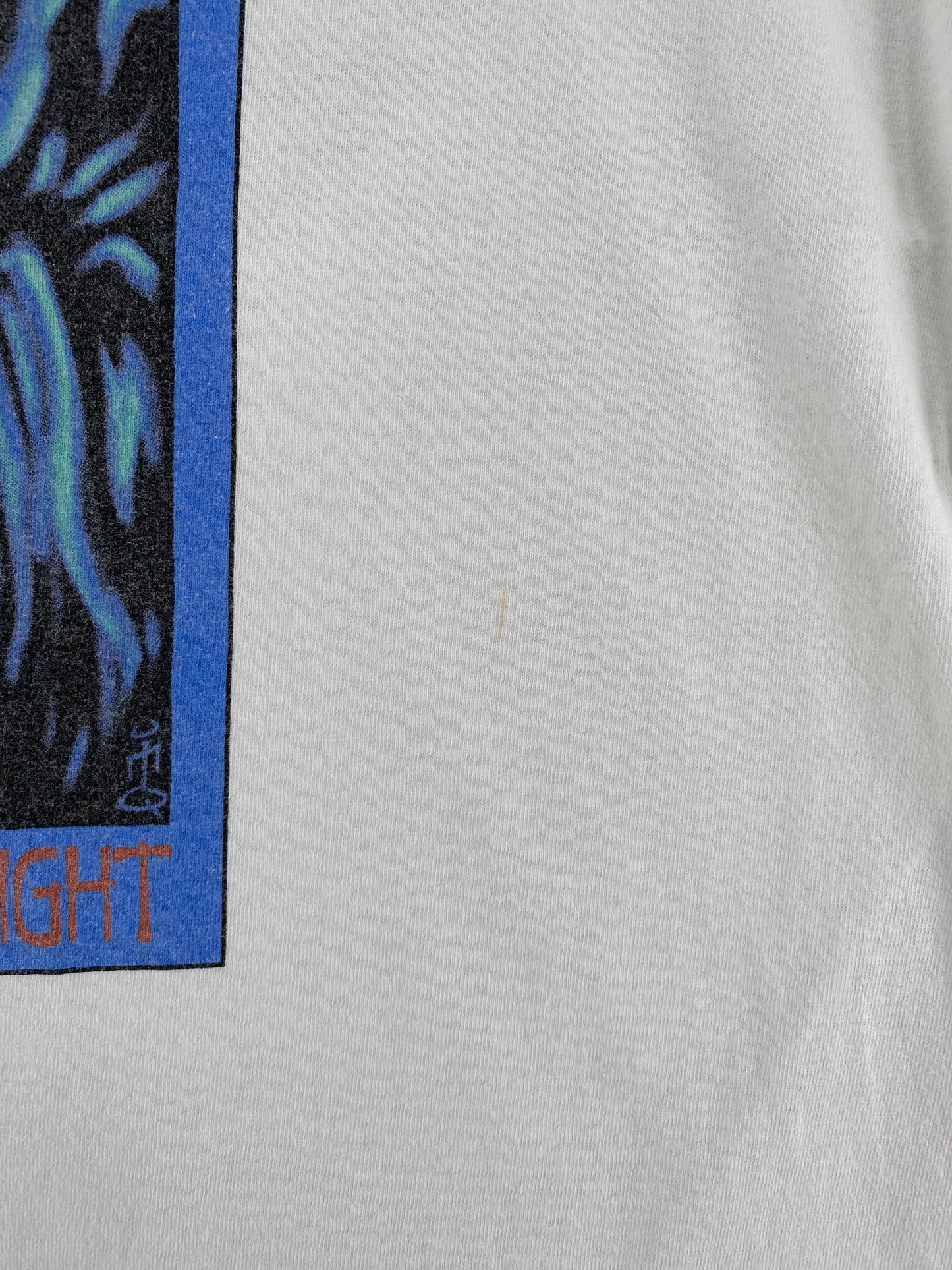 1998 JIMMY PAGE & ROBERT PLANT Size XL Vintage Music Band Tour T-Shirts / G3316T