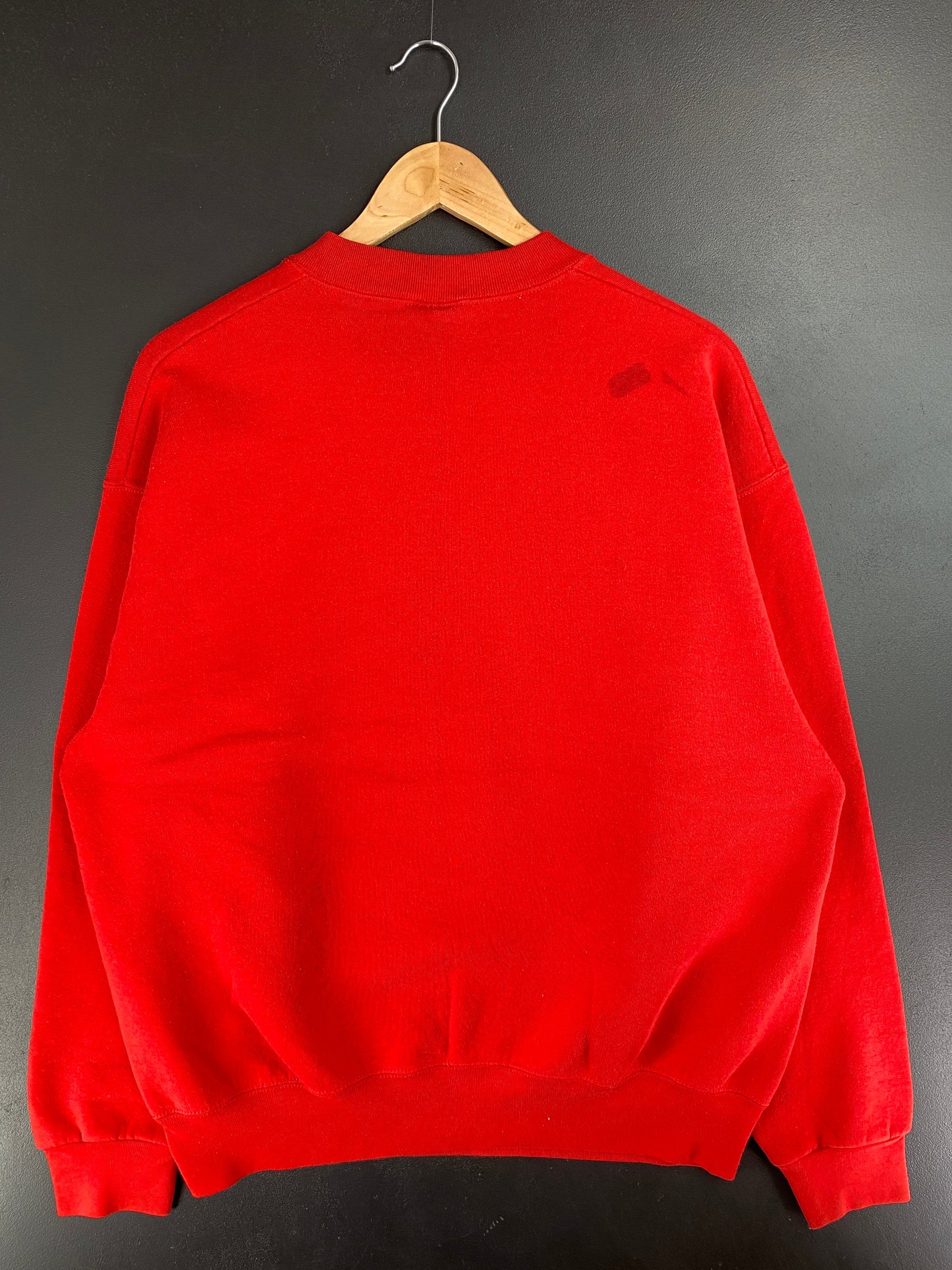 1995 SALEM x SAN FRANCISCO 49ERS Made in USA Size XL Vintage NFL Sweat-Shirt / F1816S