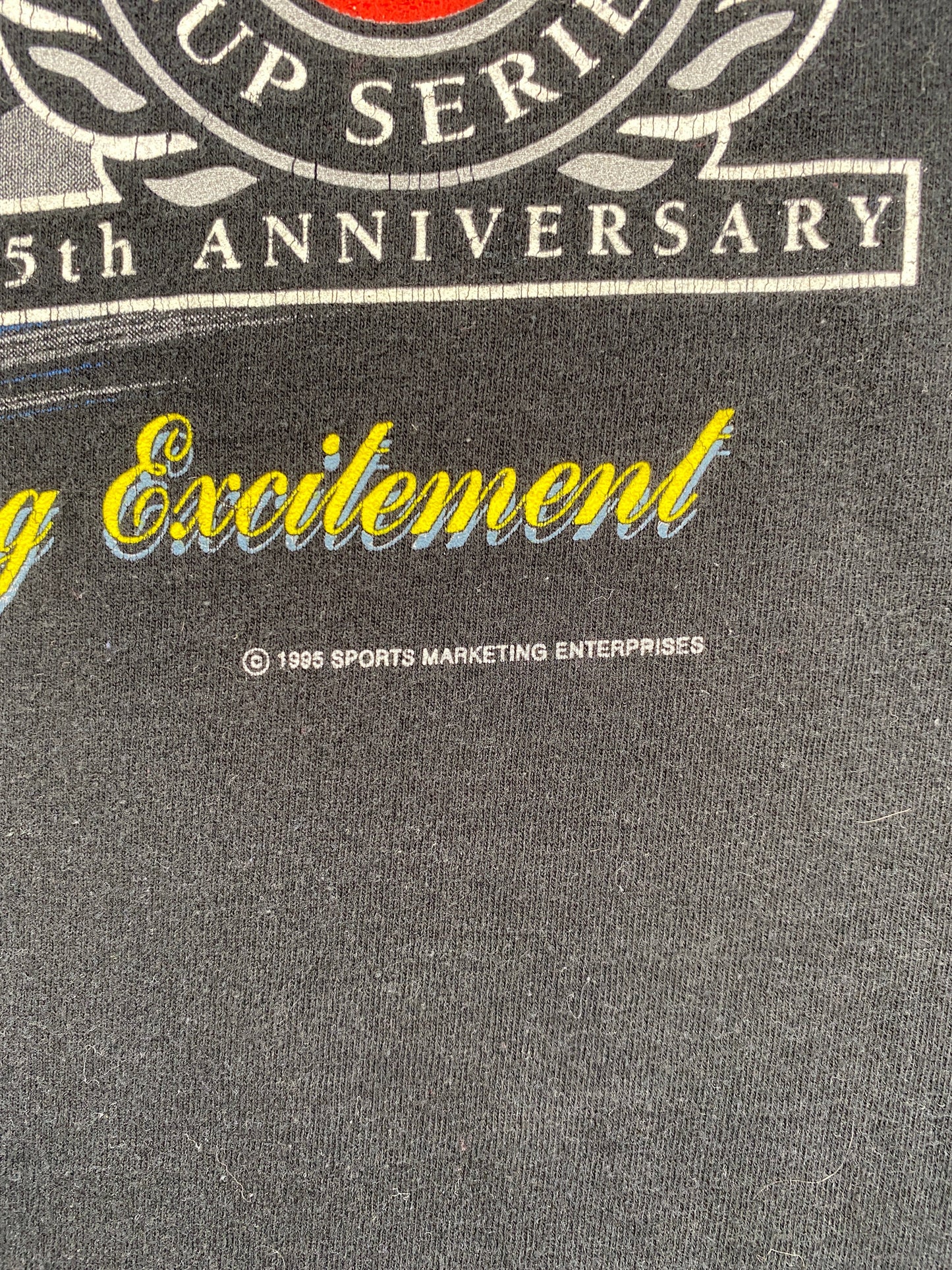.1995 NASCAR DALE EARNHARDT Made in USA Size XXL Vintage T-Shirts / F2404T