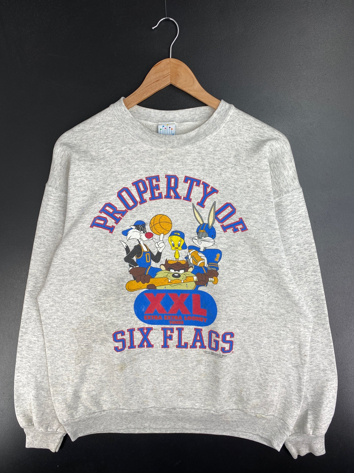 1995 SIX FLAGS X LOONEY TUNES Made in USA Size XL Vintage Sweat-shirt / F3057S