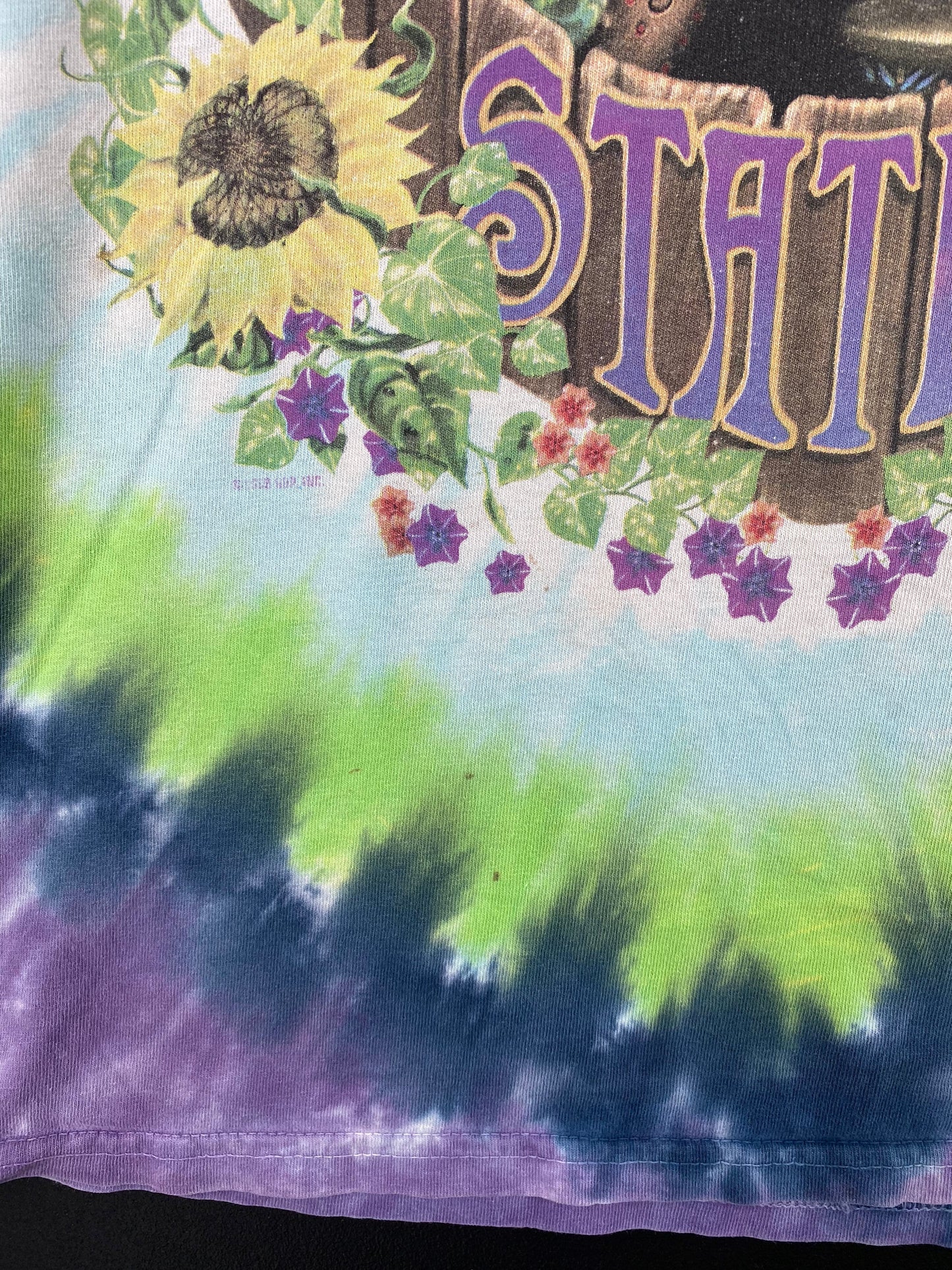 Vintage LIQUID BLUE x GRATEFUL DEAD Size M Music T-Shirt / F2927T